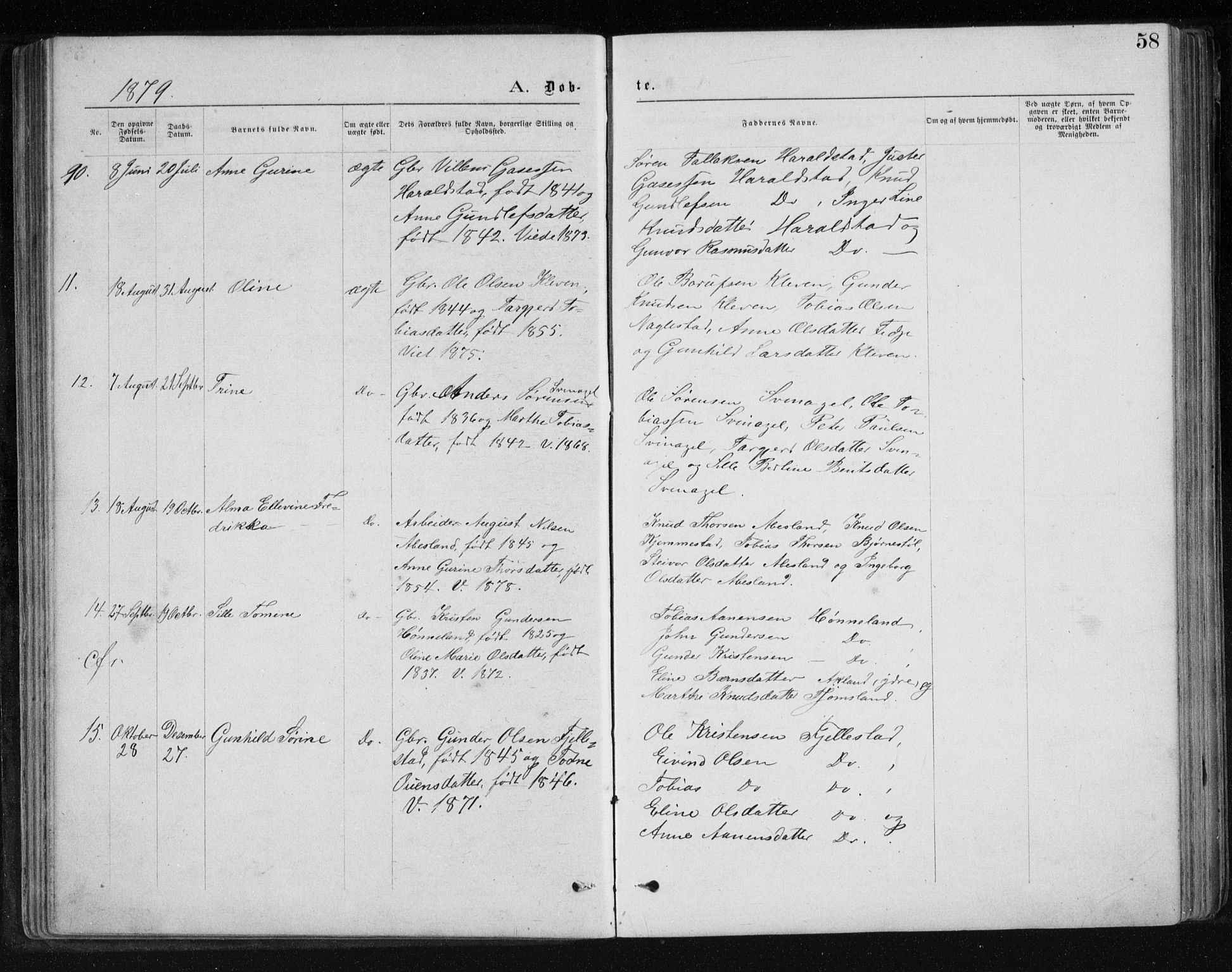 Holum sokneprestkontor, SAK/1111-0022/F/Fb/Fbb/L0003: Parish register (copy) no. B 3, 1875-1898, p. 58