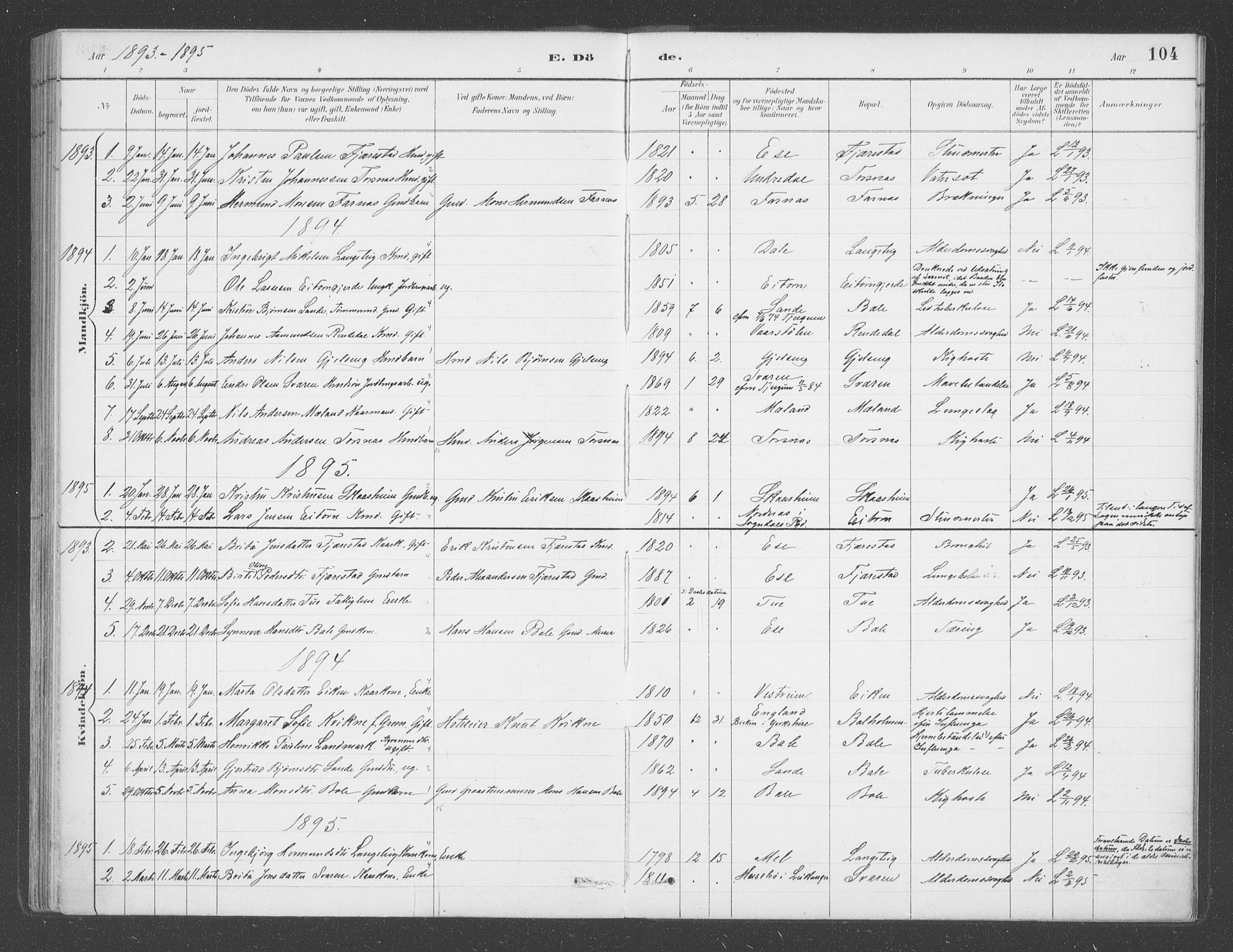 Balestrand sokneprestembete, SAB/A-79601/H/Haa/Haab/L0001: Parish register (official) no. B  1, 1889-1910, p. 104