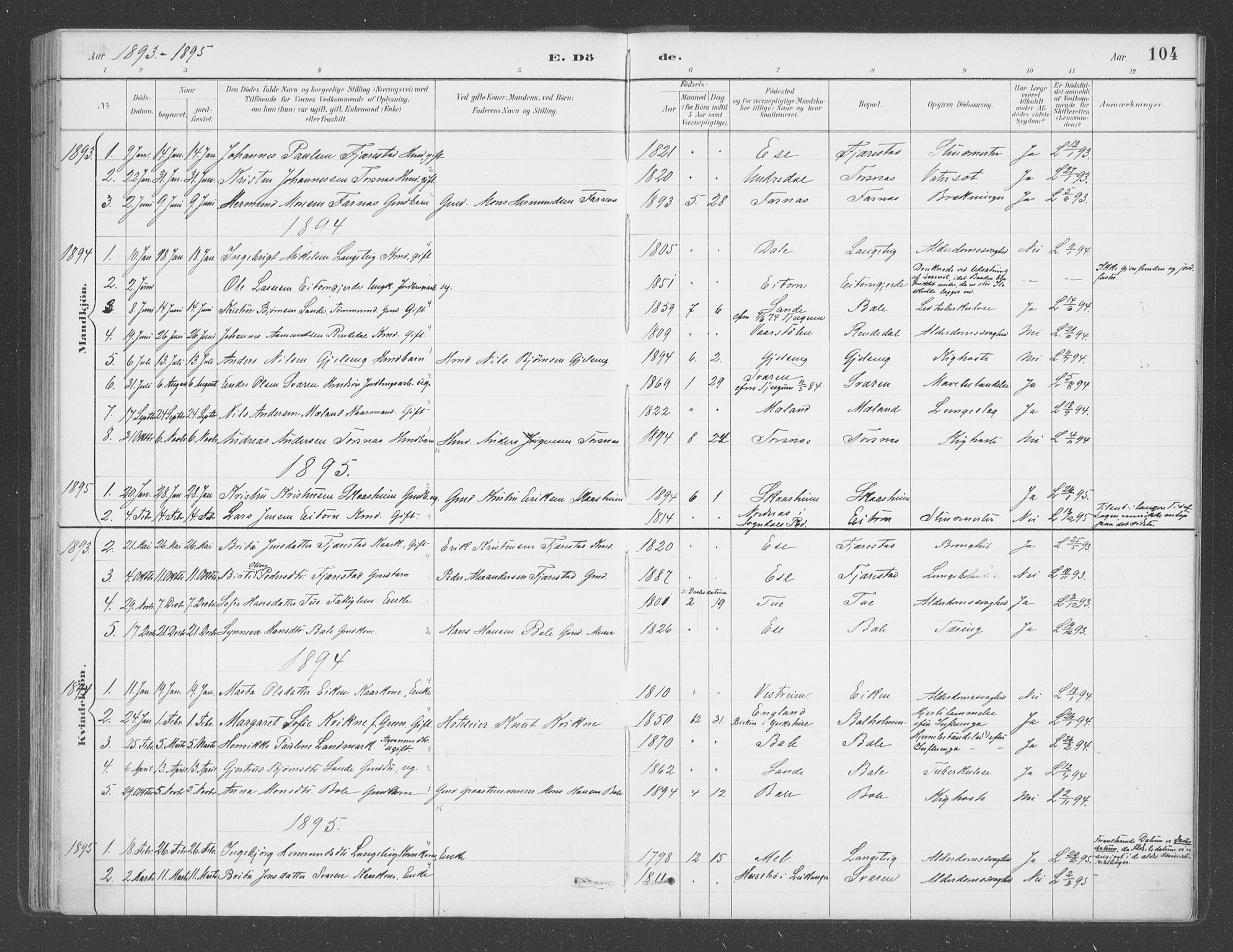 Balestrand sokneprestembete, AV/SAB-A-79601/H/Haa/Haab/L0001: Parish register (official) no. B  1, 1889-1910, p. 104