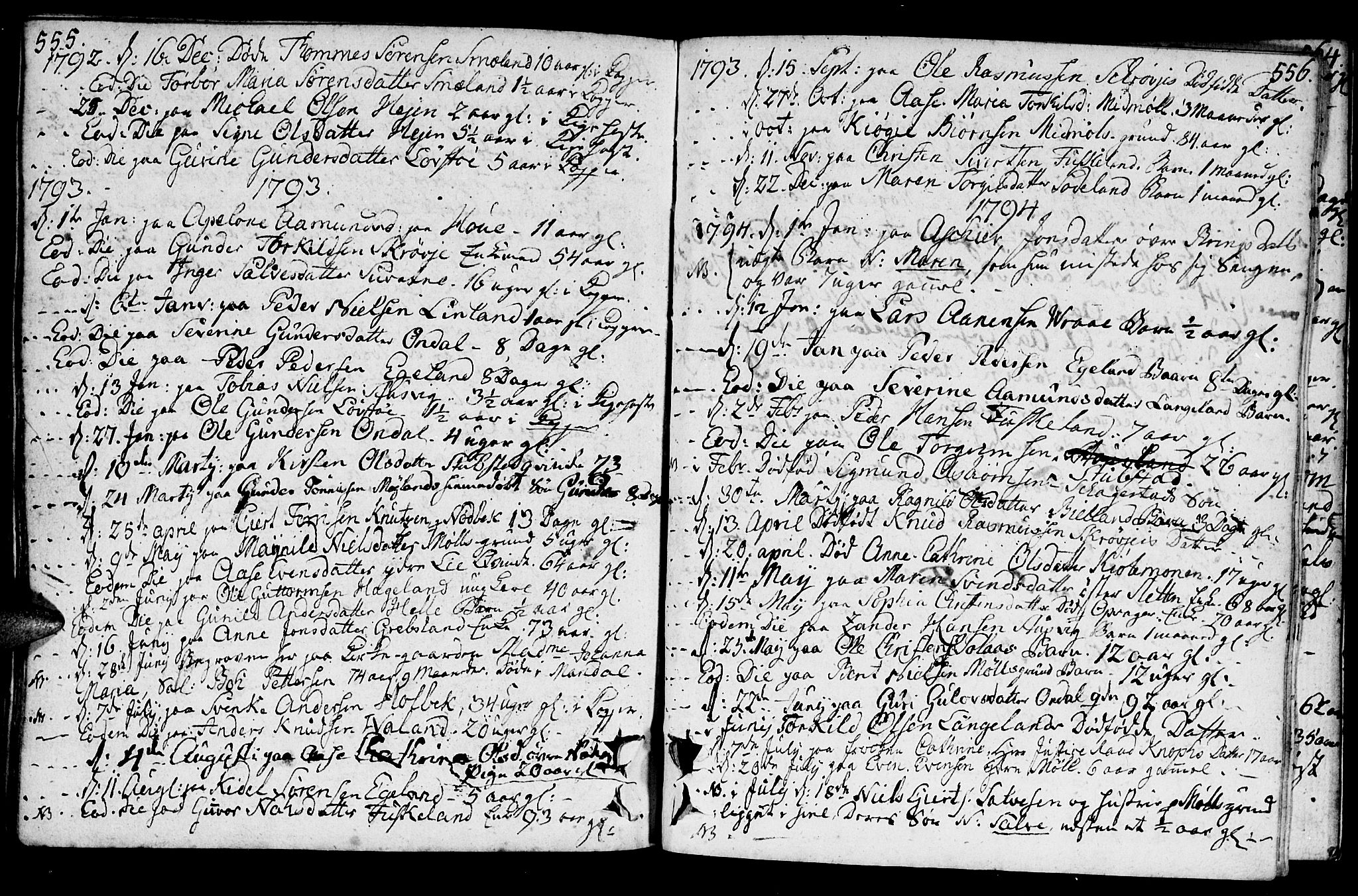 Holum sokneprestkontor, AV/SAK-1111-0022/F/Fa/Faa/L0003: Parish register (official) no. A 3, 1780-1821, p. 555-556