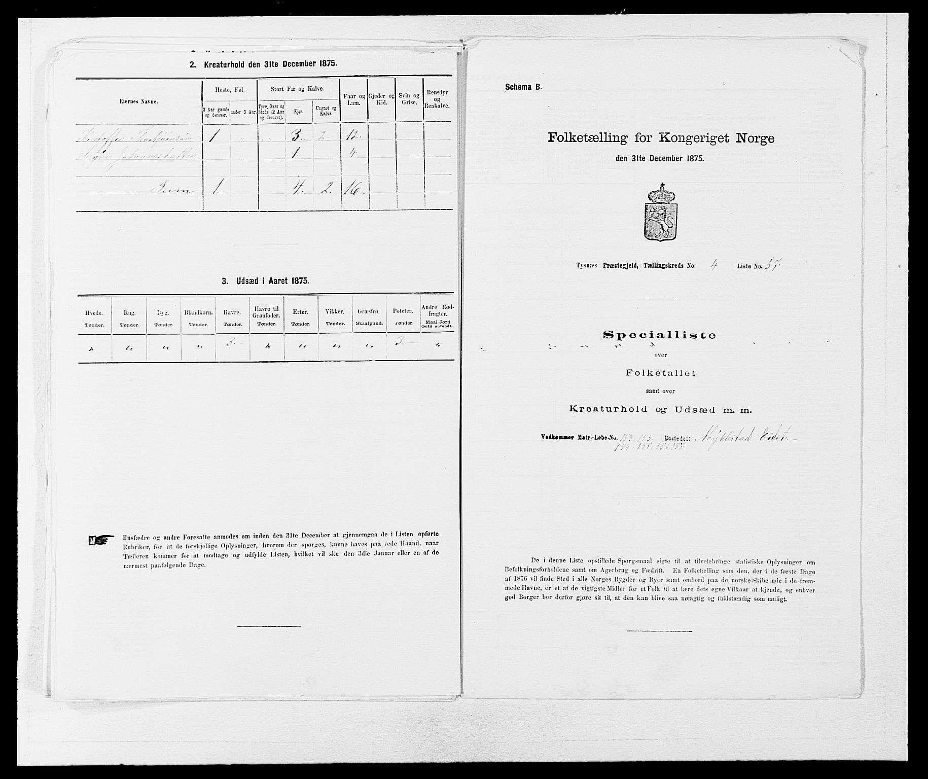 SAB, 1875 census for 1223P Tysnes, 1875, p. 542