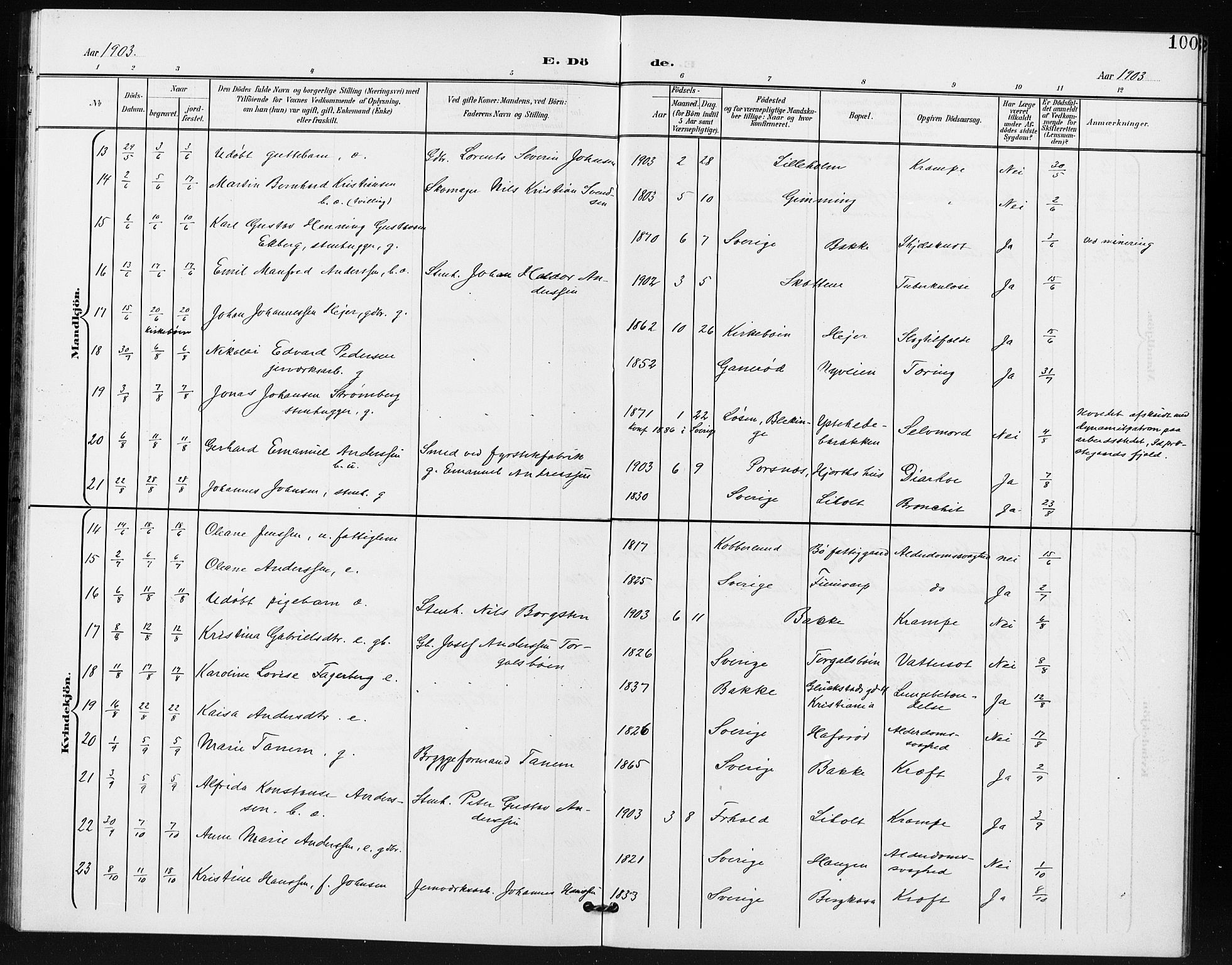 Idd prestekontor Kirkebøker, SAO/A-10911/G/Gb/L0001: Parish register (copy) no. II 1, 1901-1907, p. 100
