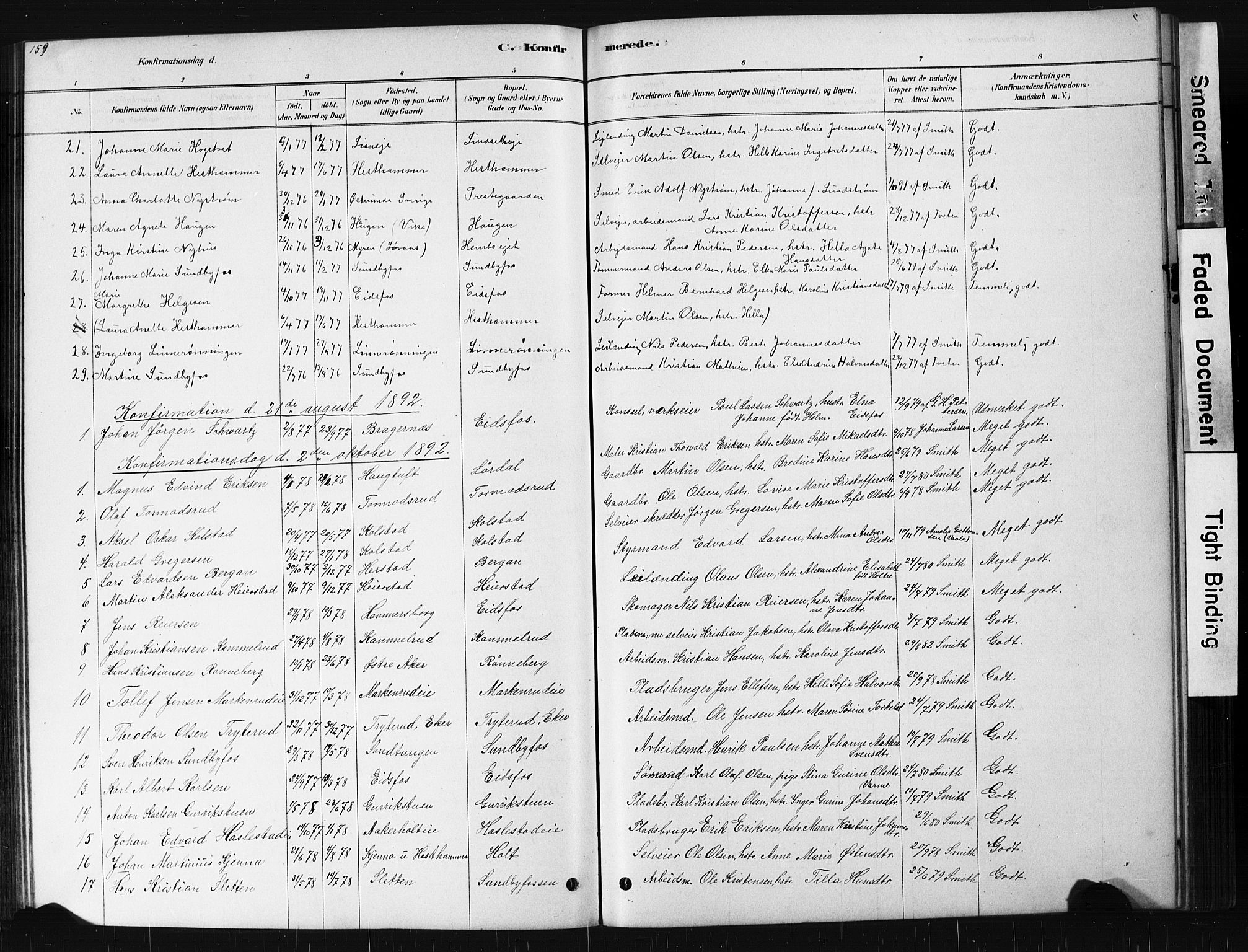 Hof kirkebøker, AV/SAKO-A-64/G/Ga/L0004: Parish register (copy) no. I 4, 1878-1930, p. 159