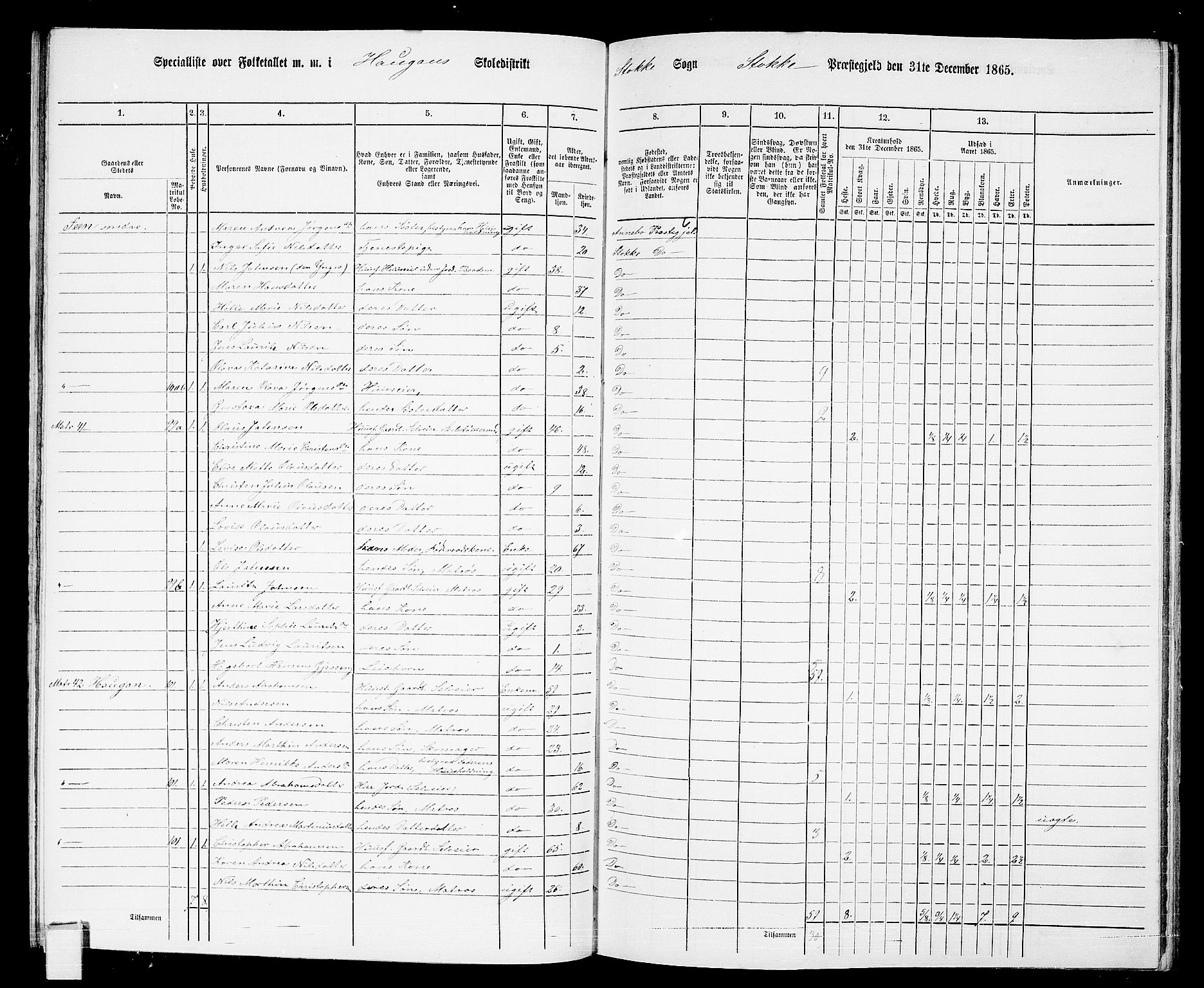 RA, 1865 census for Stokke, 1865, p. 84