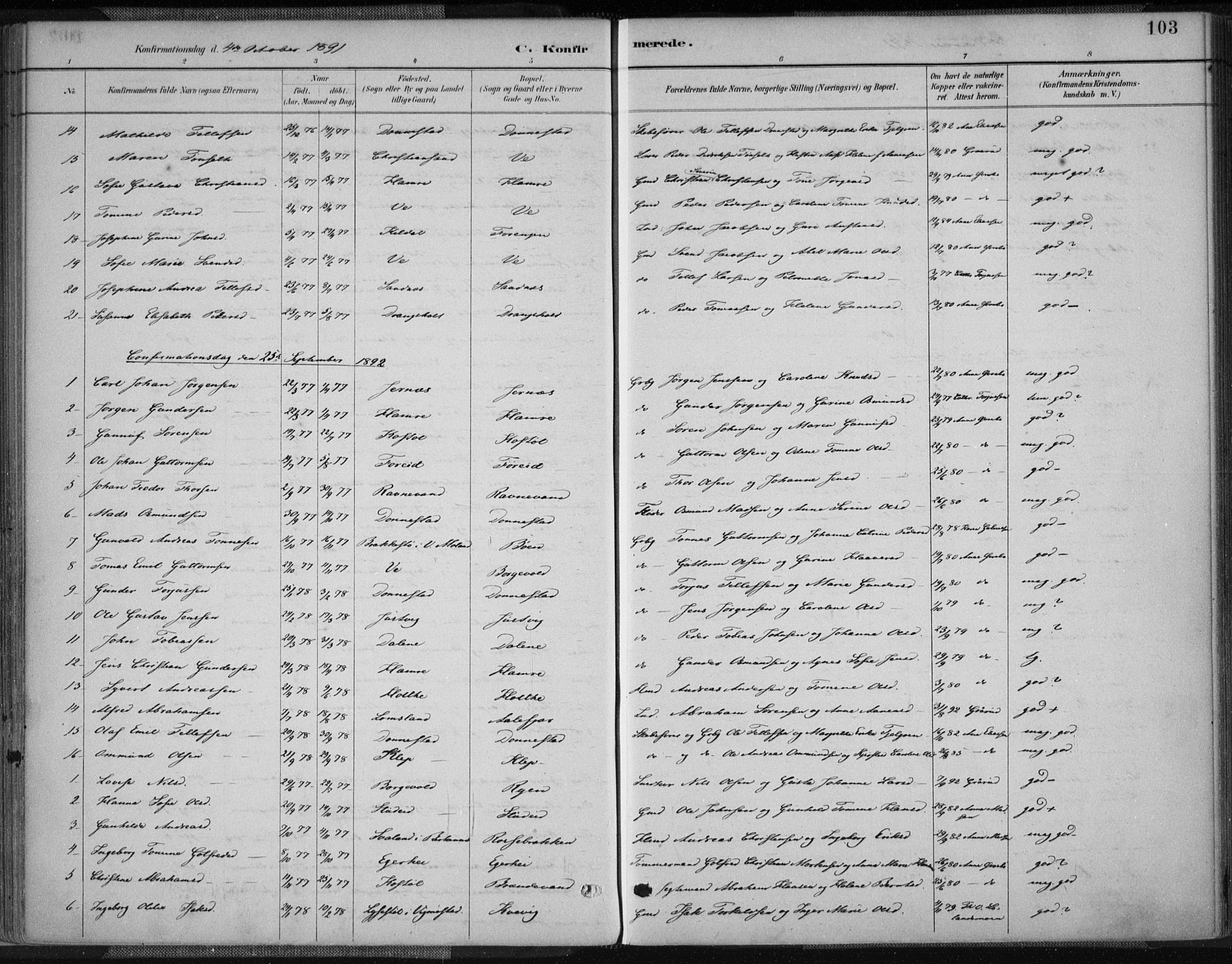 Tveit sokneprestkontor, SAK/1111-0043/F/Fa/L0007: Parish register (official) no. A 7, 1887-1908, p. 103