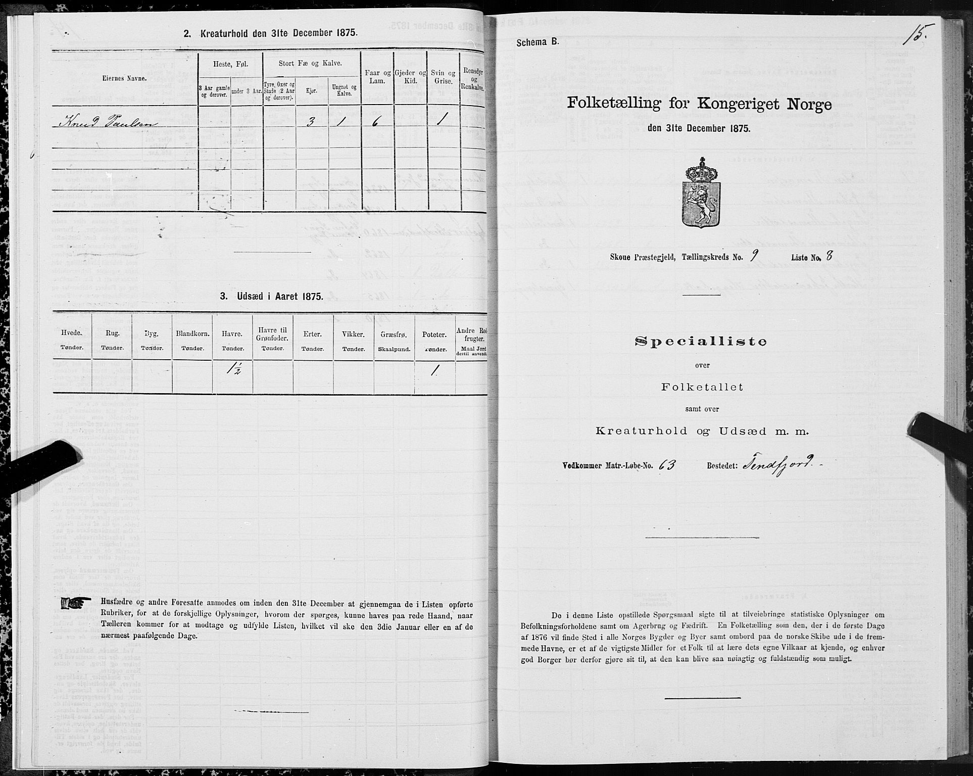 SAT, 1875 census for 1529P Skodje, 1875, p. 3015