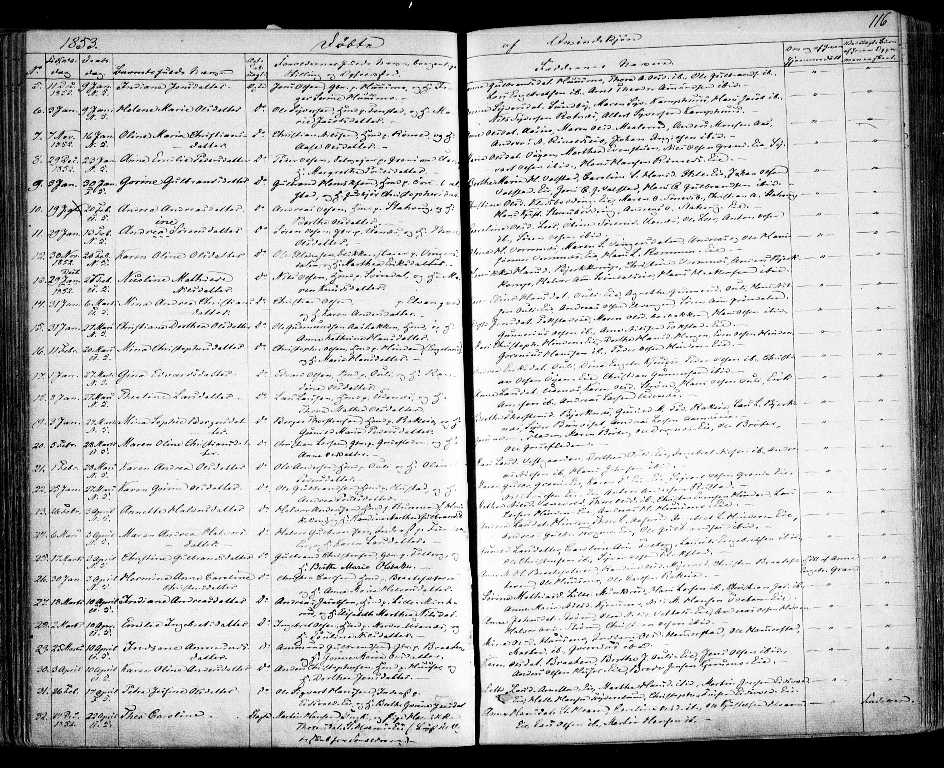 Nes prestekontor Kirkebøker, SAO/A-10410/F/Fa/L0007: Parish register (official) no. I 7, 1846-1858, p. 116