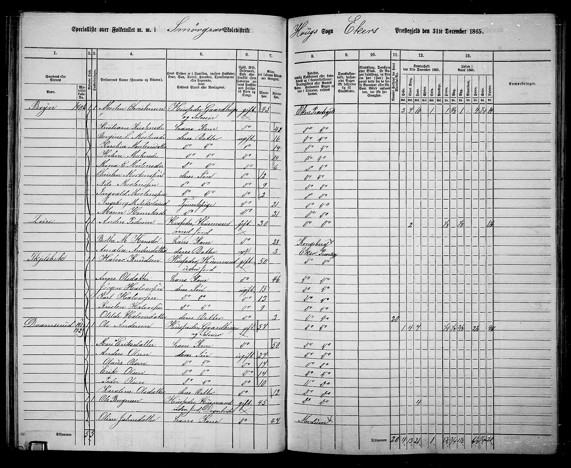 RA, 1865 census for Eiker, 1865, p. 45