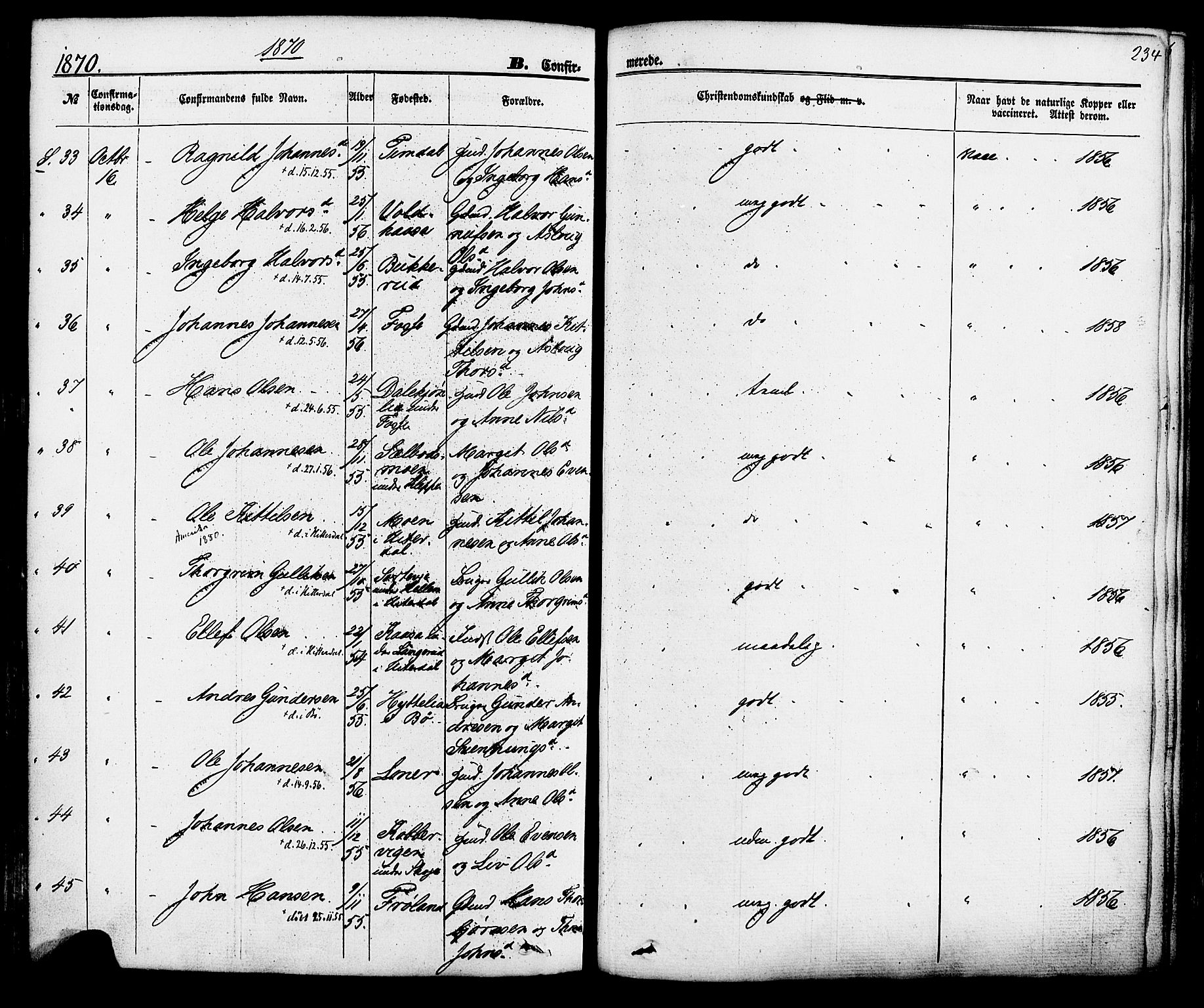 Hjartdal kirkebøker, AV/SAKO-A-270/F/Fa/L0009: Parish register (official) no. I 9, 1860-1879, p. 234