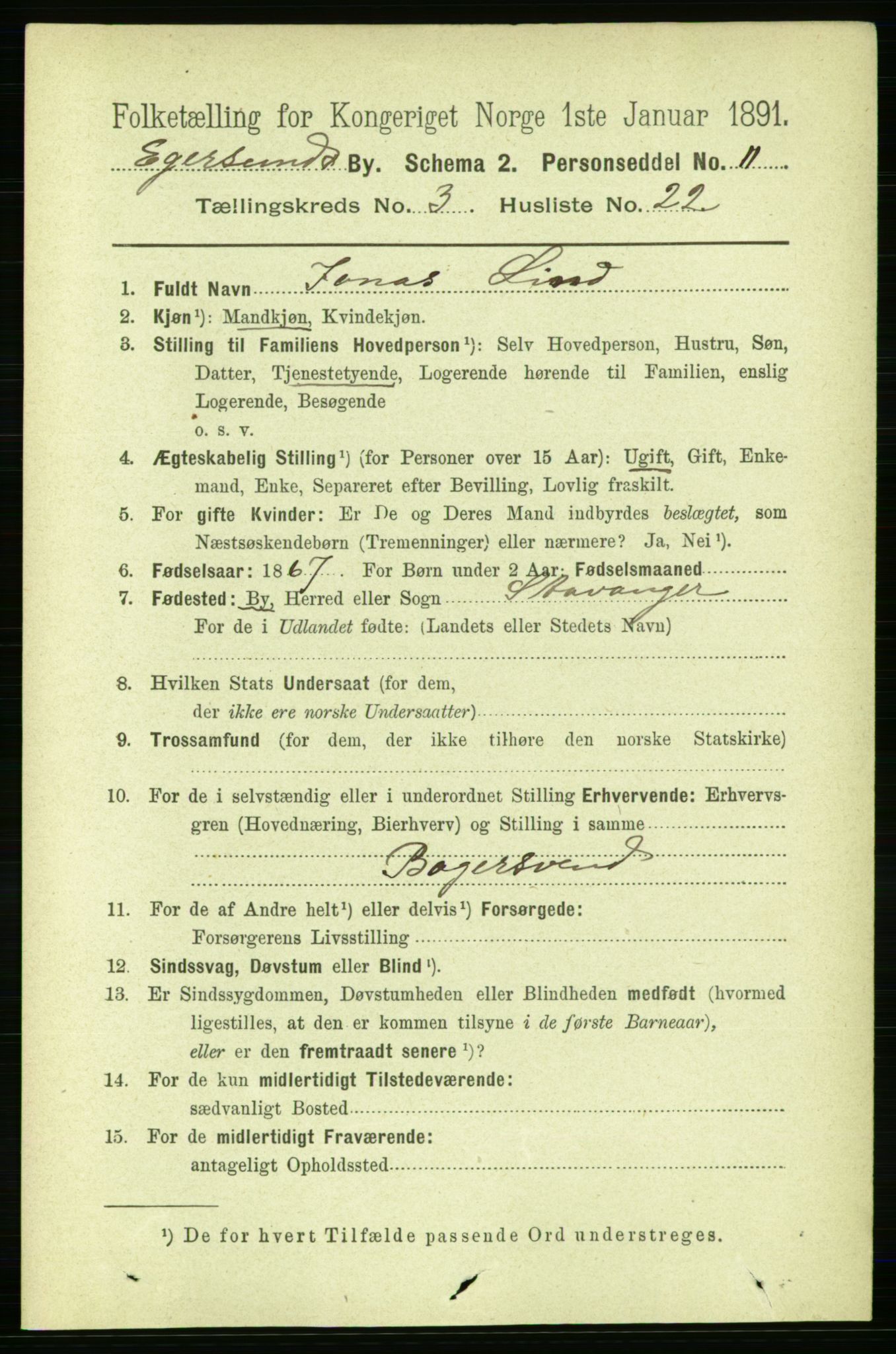 RA, 1891 census for 1101 Egersund, 1891, p. 595