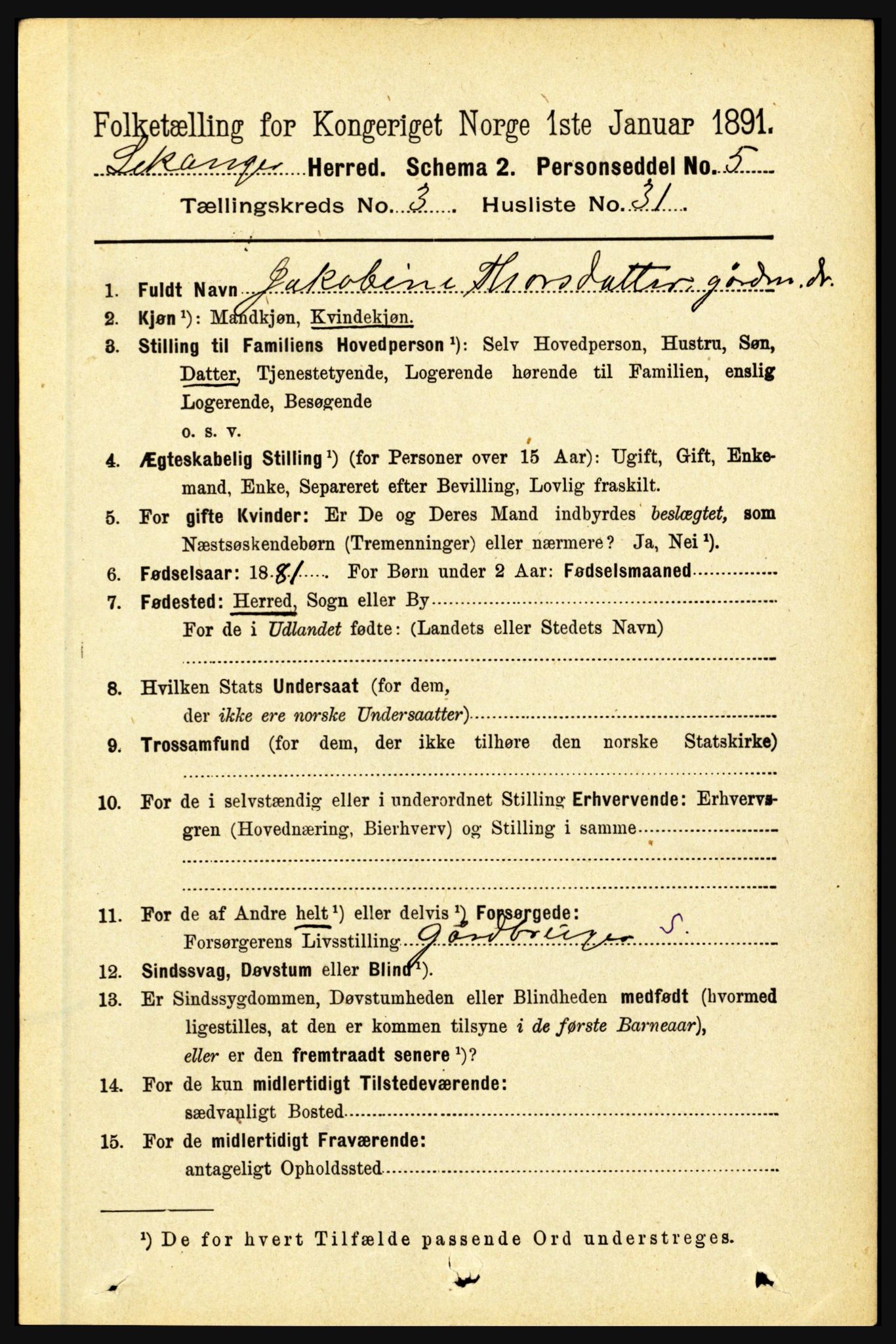 RA, 1891 census for 1419 Leikanger, 1891, p. 518