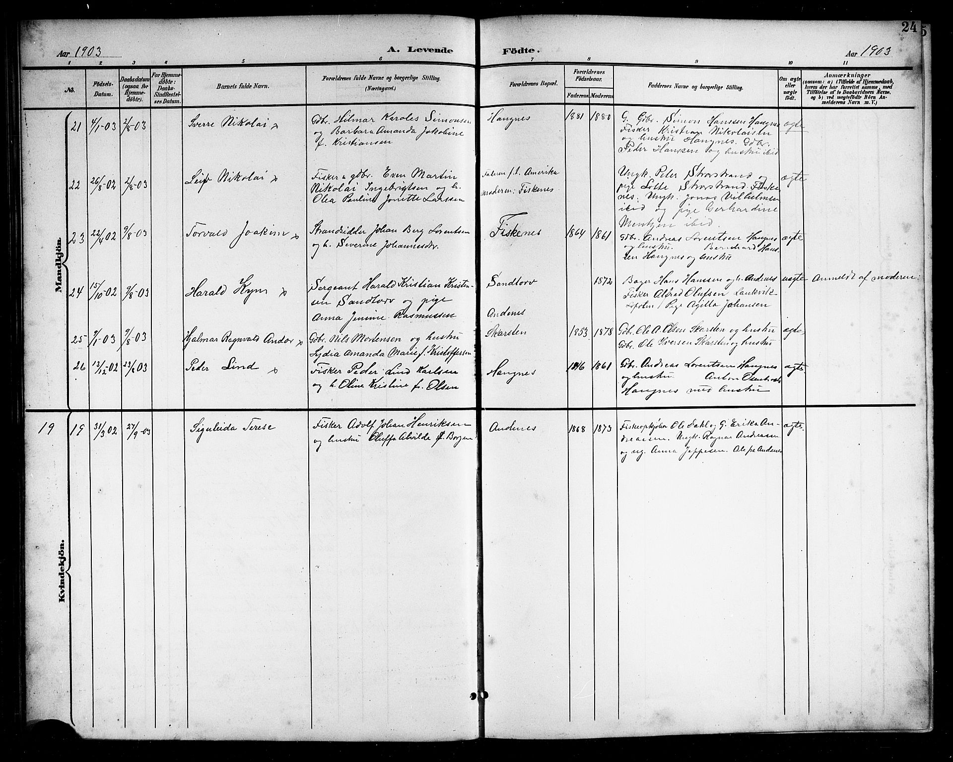 Ministerialprotokoller, klokkerbøker og fødselsregistre - Nordland, AV/SAT-A-1459/899/L1449: Parish register (copy) no. 899C04, 1900-1918, p. 24