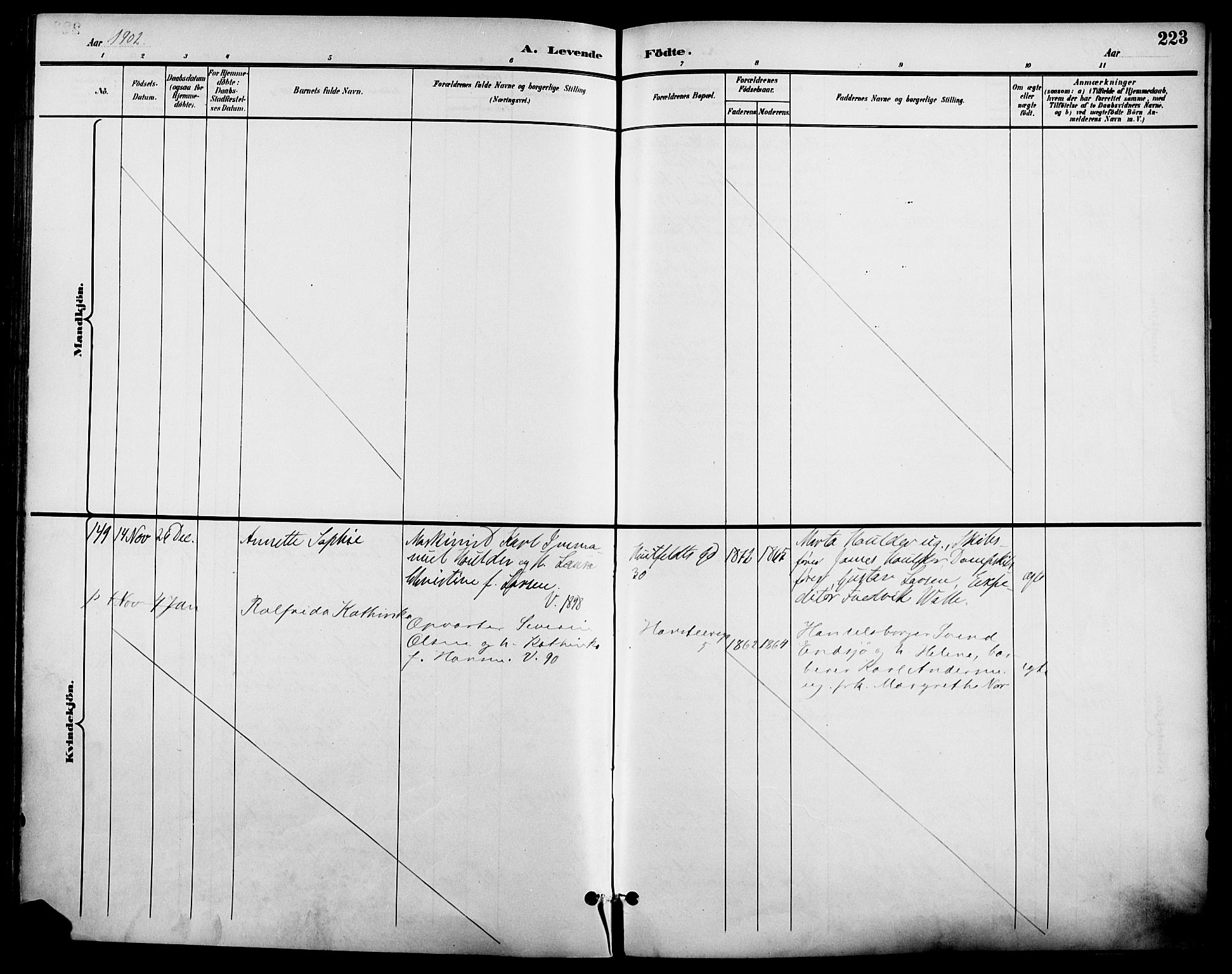 Johannes prestekontor Kirkebøker, SAO/A-10852/F/Fa/L0007: Parish register (official) no. 7, 1896-1905, p. 223