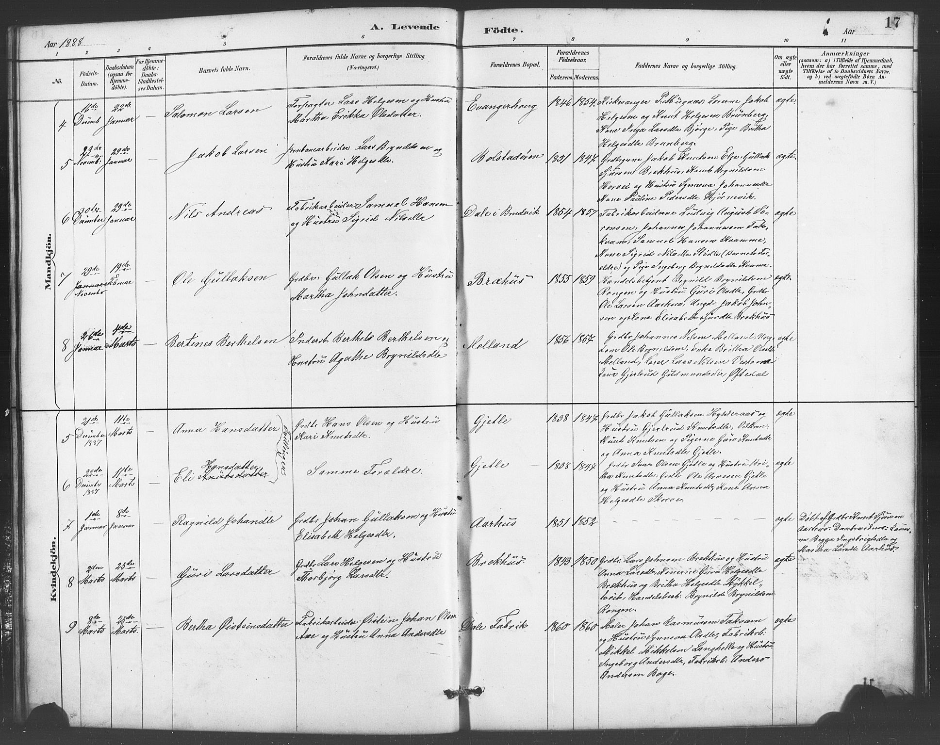 Evanger sokneprestembete, AV/SAB-A-99924: Parish register (copy) no. A 4, 1887-1897, p. 17