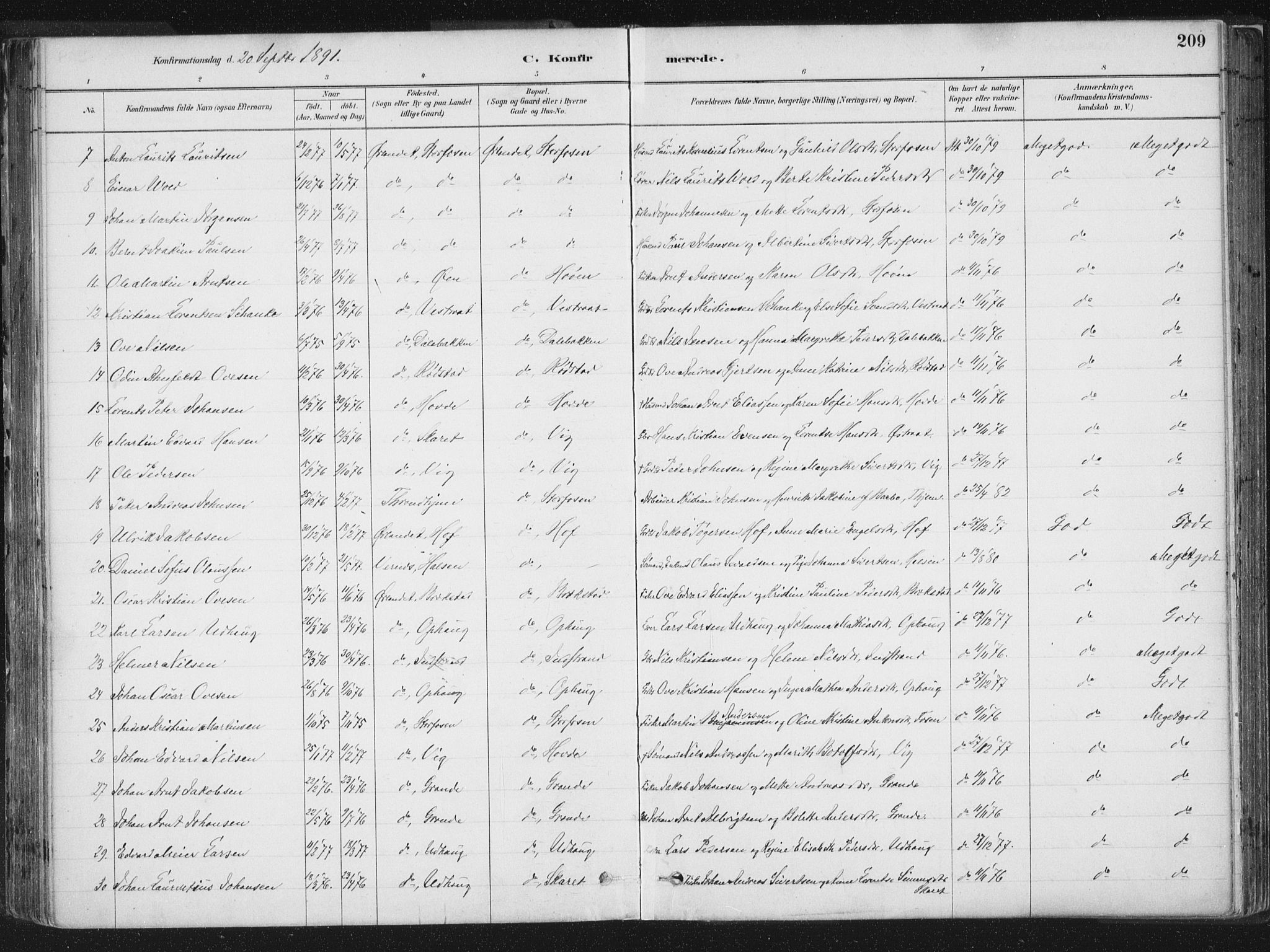 Ministerialprotokoller, klokkerbøker og fødselsregistre - Sør-Trøndelag, SAT/A-1456/659/L0739: Parish register (official) no. 659A09, 1879-1893, p. 209