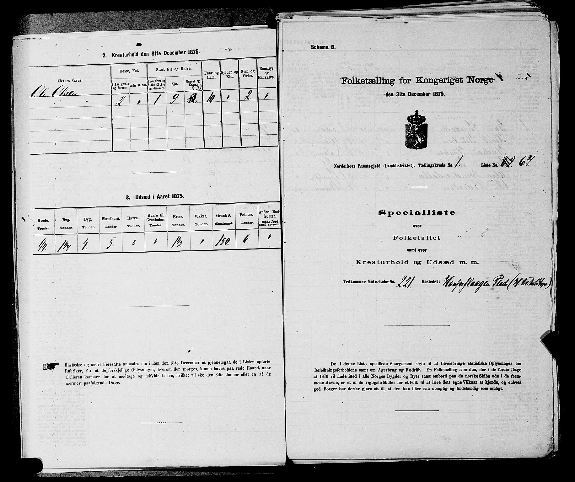 SAKO, 1875 census for 0613L Norderhov/Norderhov, Haug og Lunder, 1875, p. 99