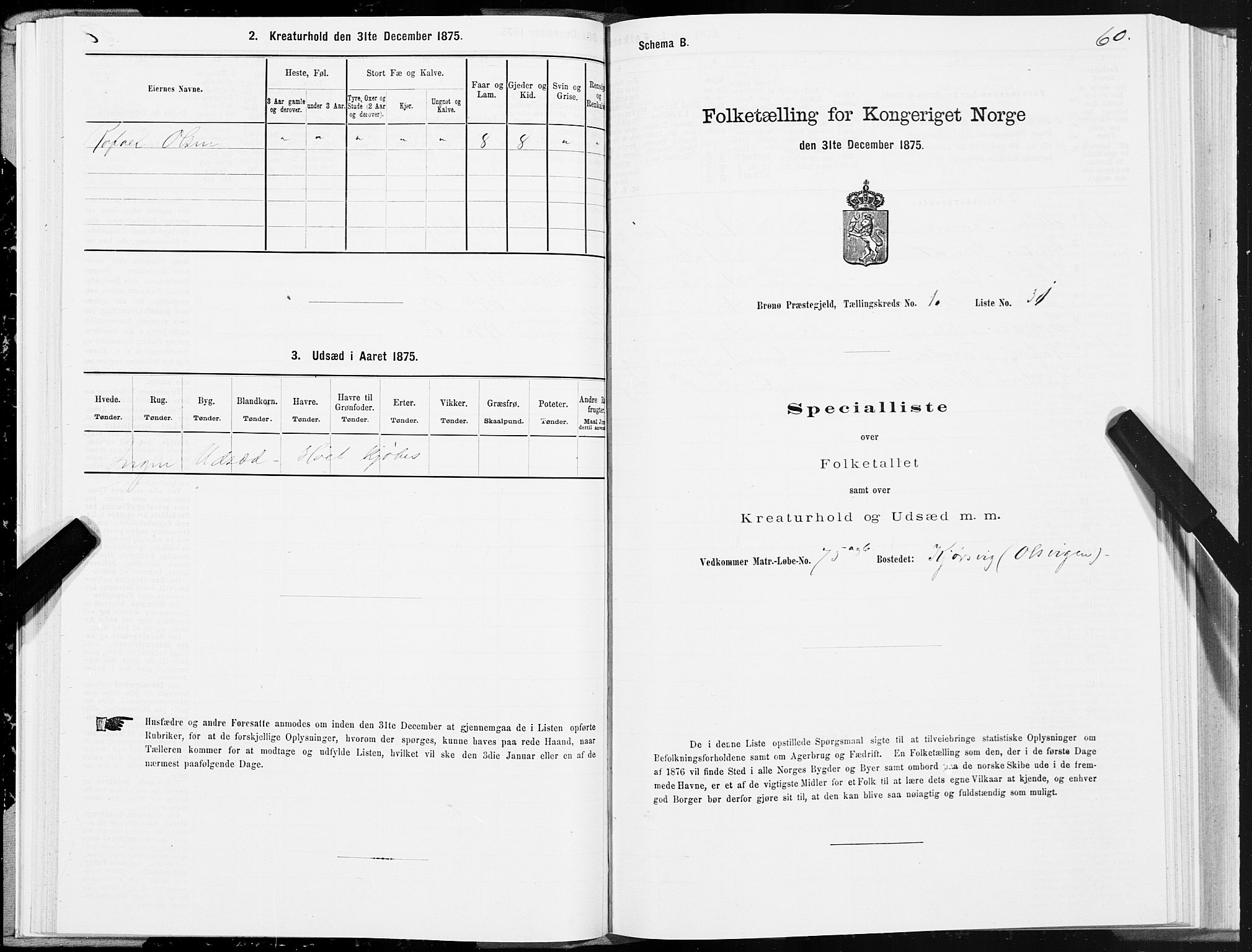 SAT, 1875 census for 1814P Brønnøy, 1875, p. 1060