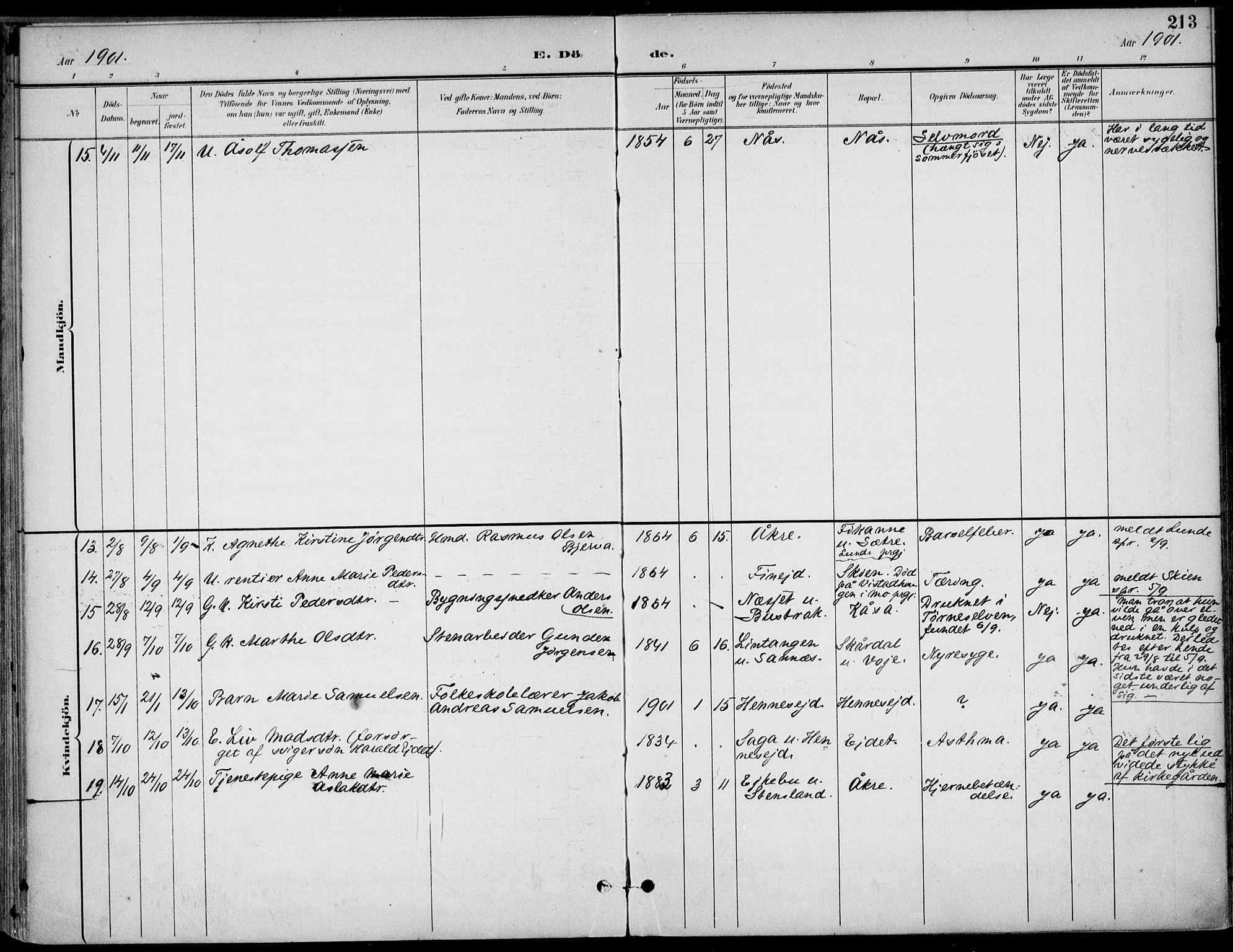 Drangedal kirkebøker, SAKO/A-258/F/Fa/L0012: Parish register (official) no. 12, 1895-1905, p. 213