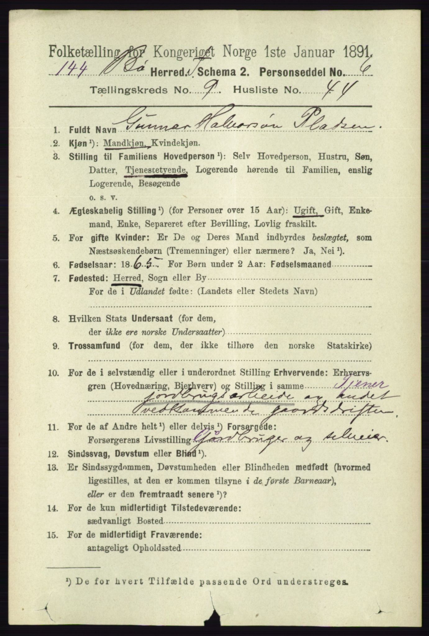 RA, 1891 census for 0821 Bø, 1891, p. 3153