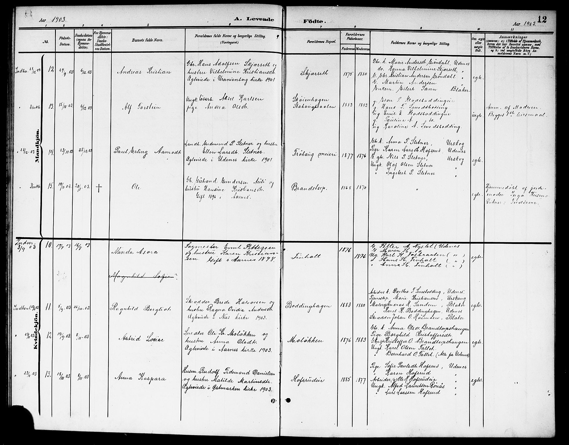 Nes prestekontor Kirkebøker, SAO/A-10410/G/Gb/L0001: Parish register (copy) no. II 1, 1901-1917, p. 12