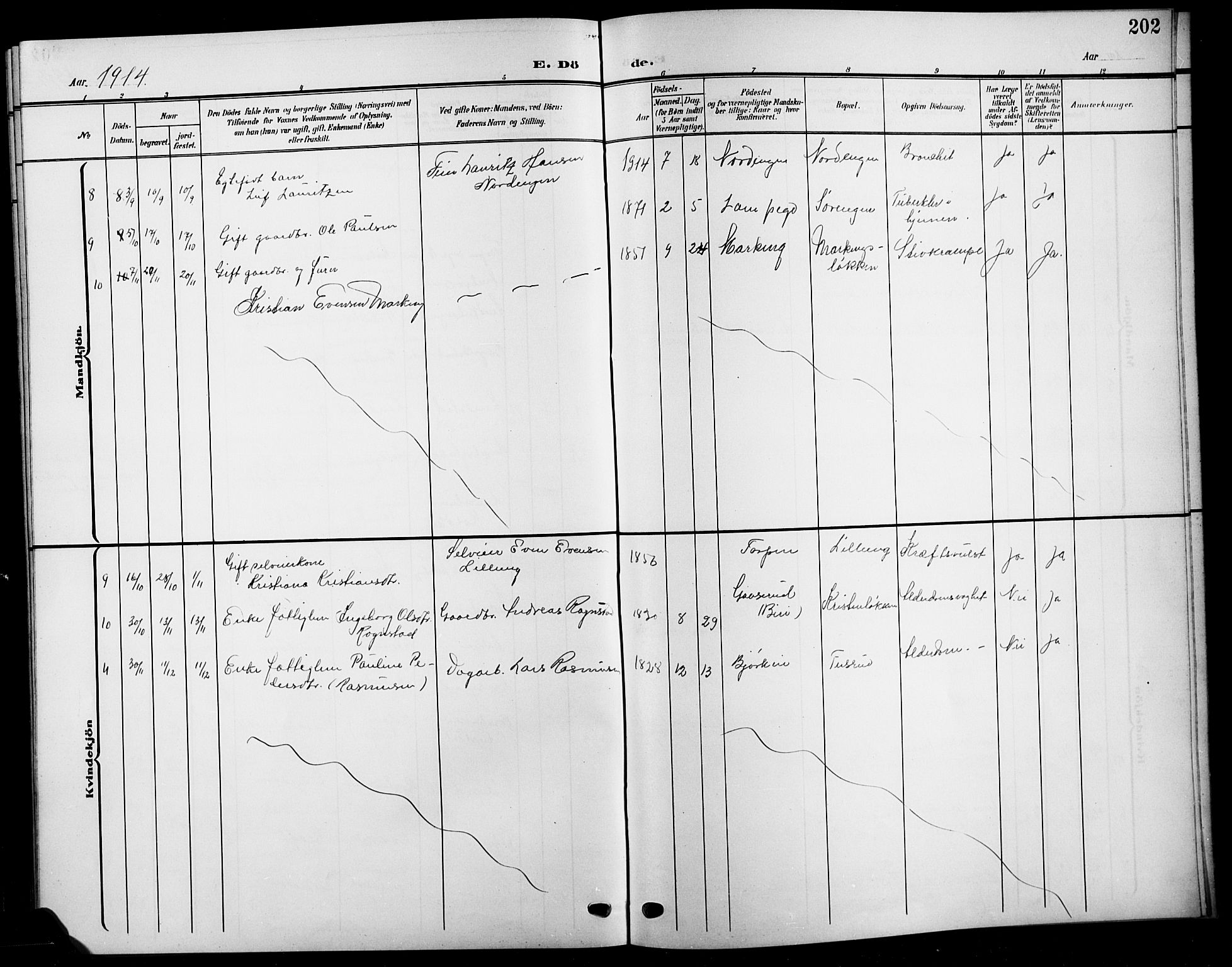 Biri prestekontor, SAH/PREST-096/H/Ha/Hab/L0005: Parish register (copy) no. 5, 1906-1919, p. 202