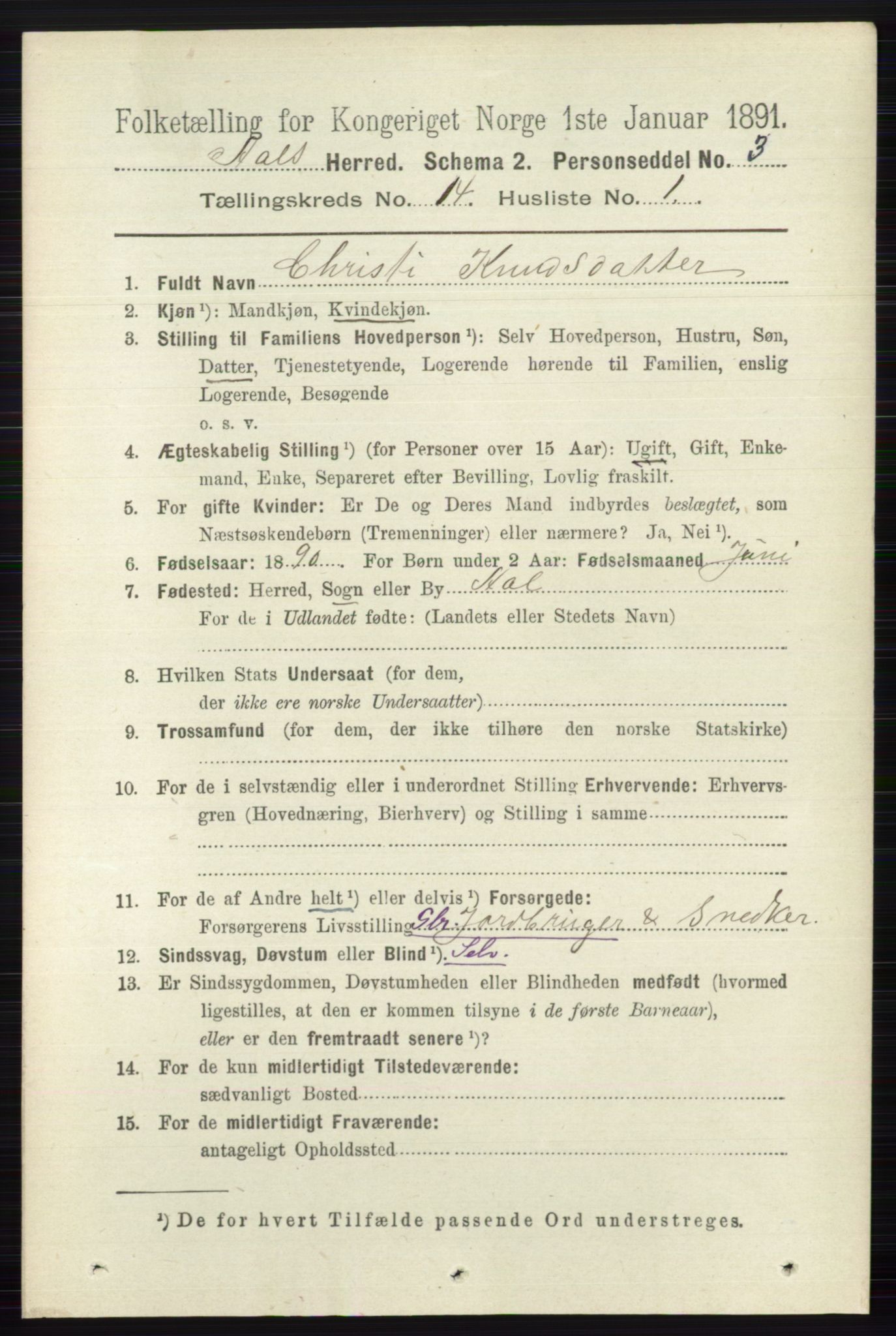 RA, 1891 census for 0619 Ål, 1891, p. 3545