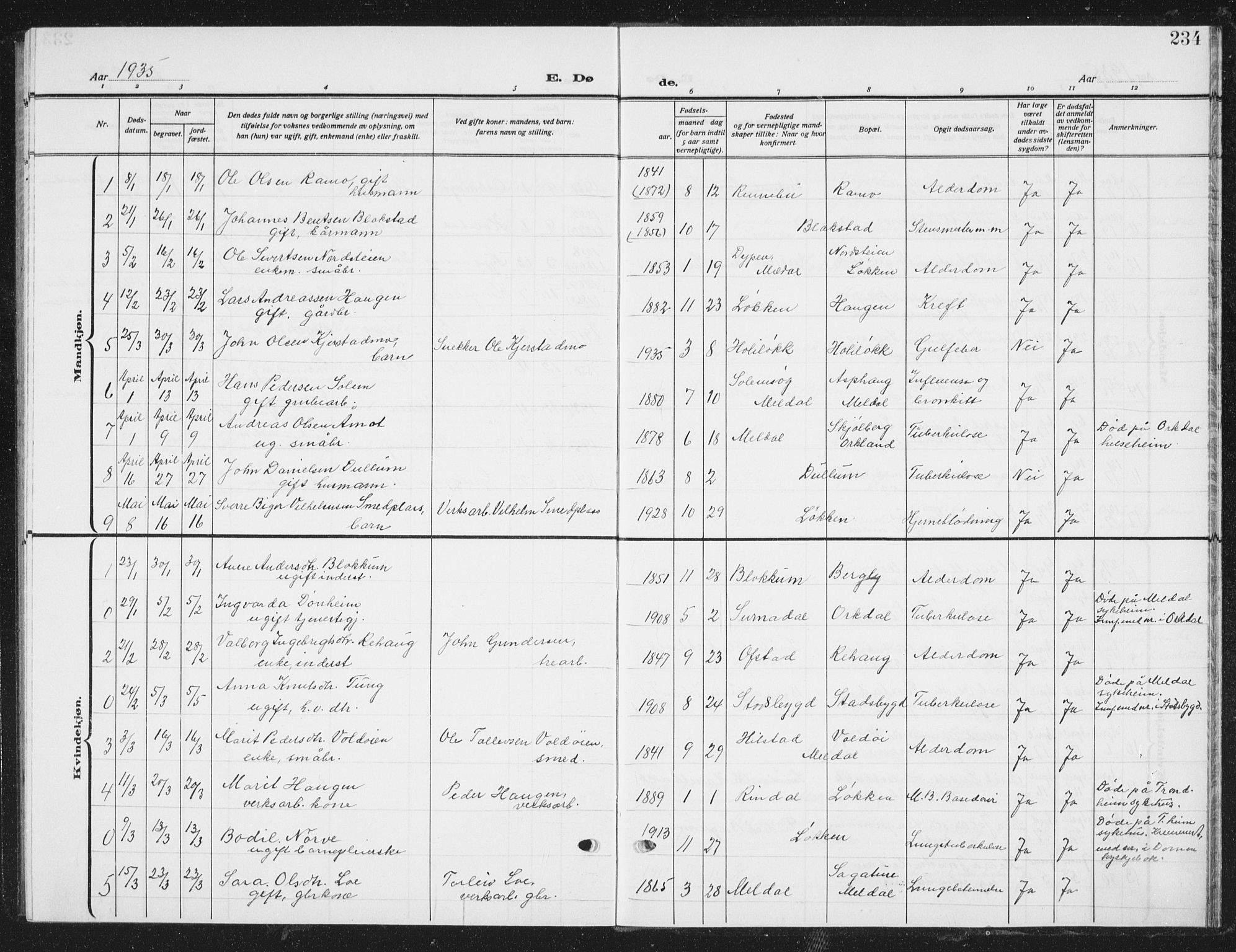 Ministerialprotokoller, klokkerbøker og fødselsregistre - Sør-Trøndelag, SAT/A-1456/672/L0866: Parish register (copy) no. 672C05, 1929-1939, p. 234