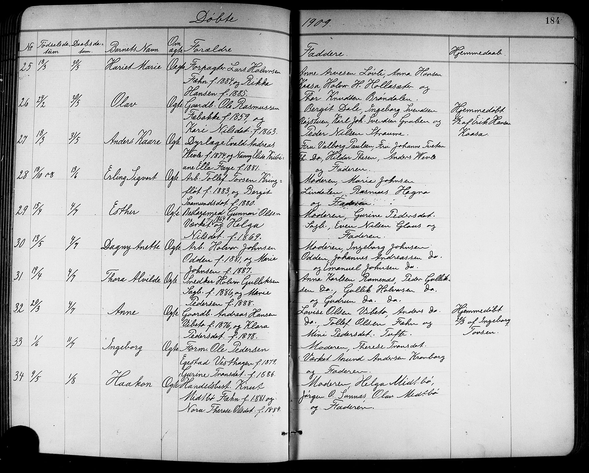 Holla kirkebøker, AV/SAKO-A-272/G/Ga/L0005: Parish register (copy) no. I 5, 1891-1917, p. 184