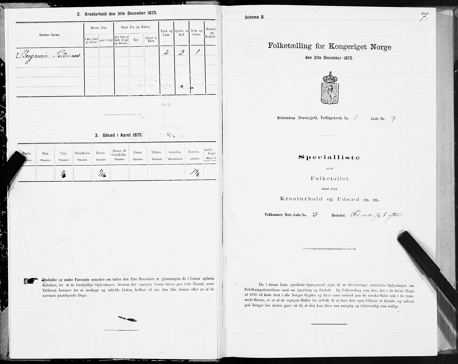 SAT, 1875 census for 1727P Beitstad, 1875, p. 1007