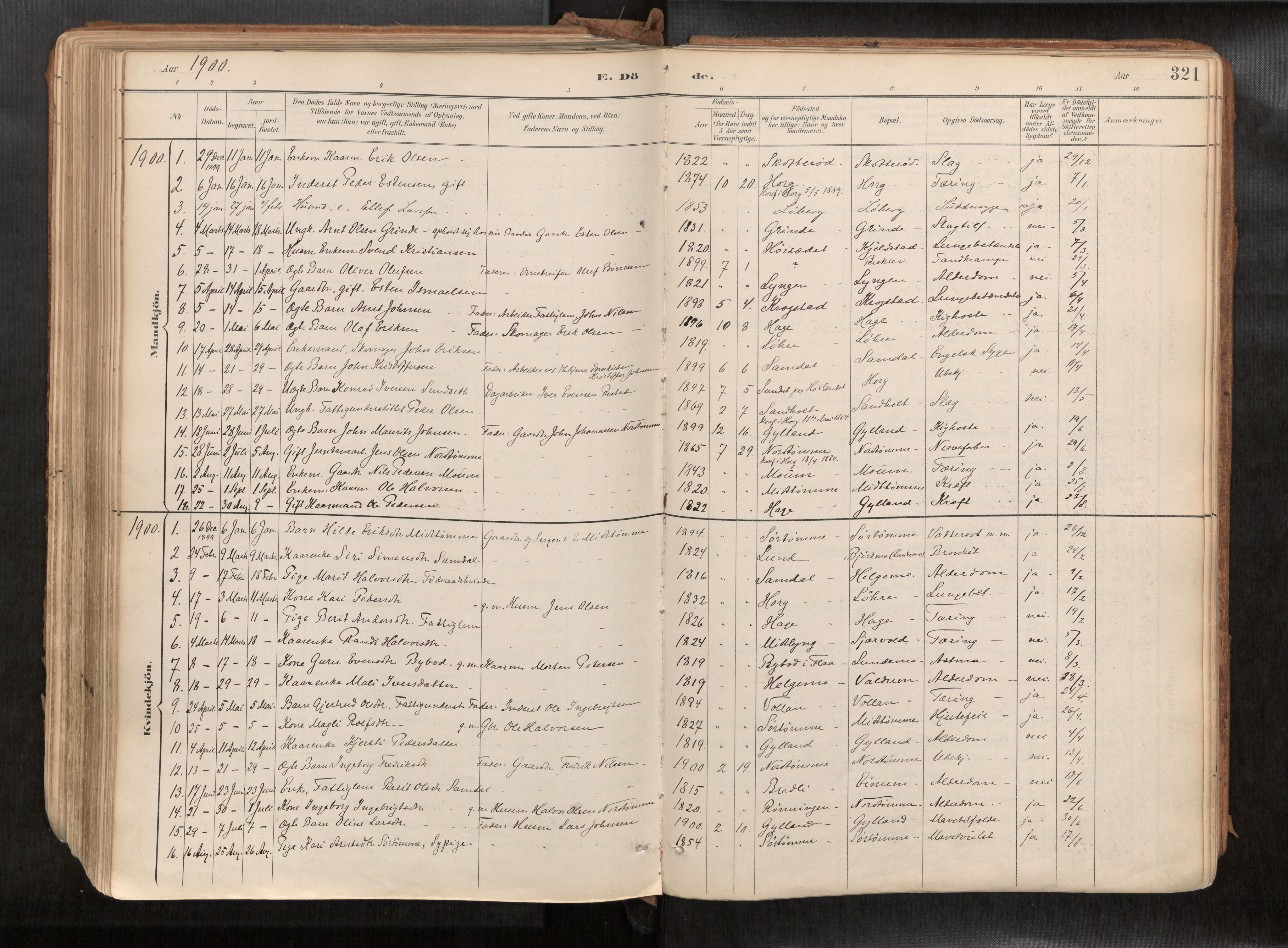 Ministerialprotokoller, klokkerbøker og fødselsregistre - Sør-Trøndelag, SAT/A-1456/692/L1105b: Parish register (official) no. 692A06, 1891-1934, p. 321