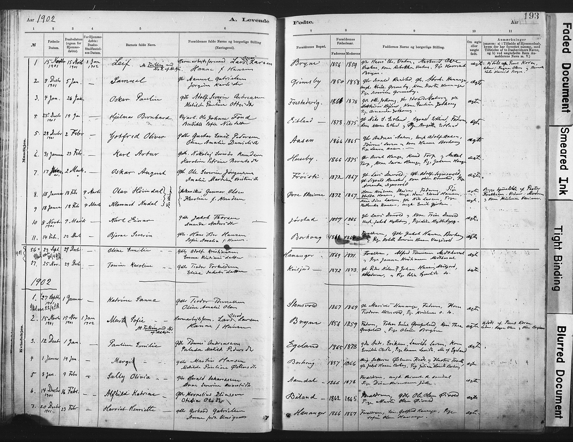 Lista sokneprestkontor, SAK/1111-0027/F/Fa/L0012: Parish register (official) no. A 12, 1879-1903, p. 193