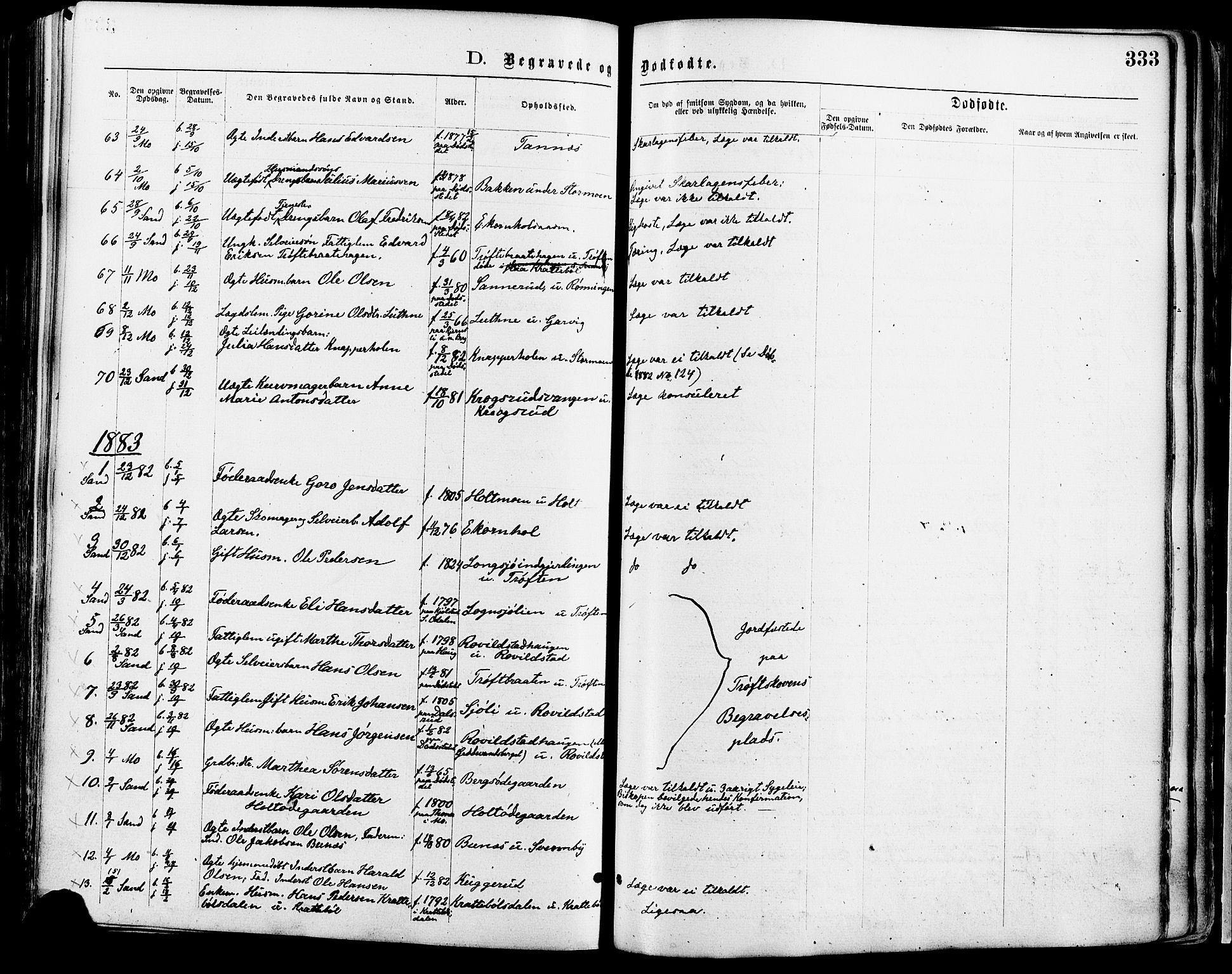 Nord-Odal prestekontor, AV/SAH-PREST-032/H/Ha/Haa/L0005: Parish register (official) no. 5, 1874-1885, p. 333