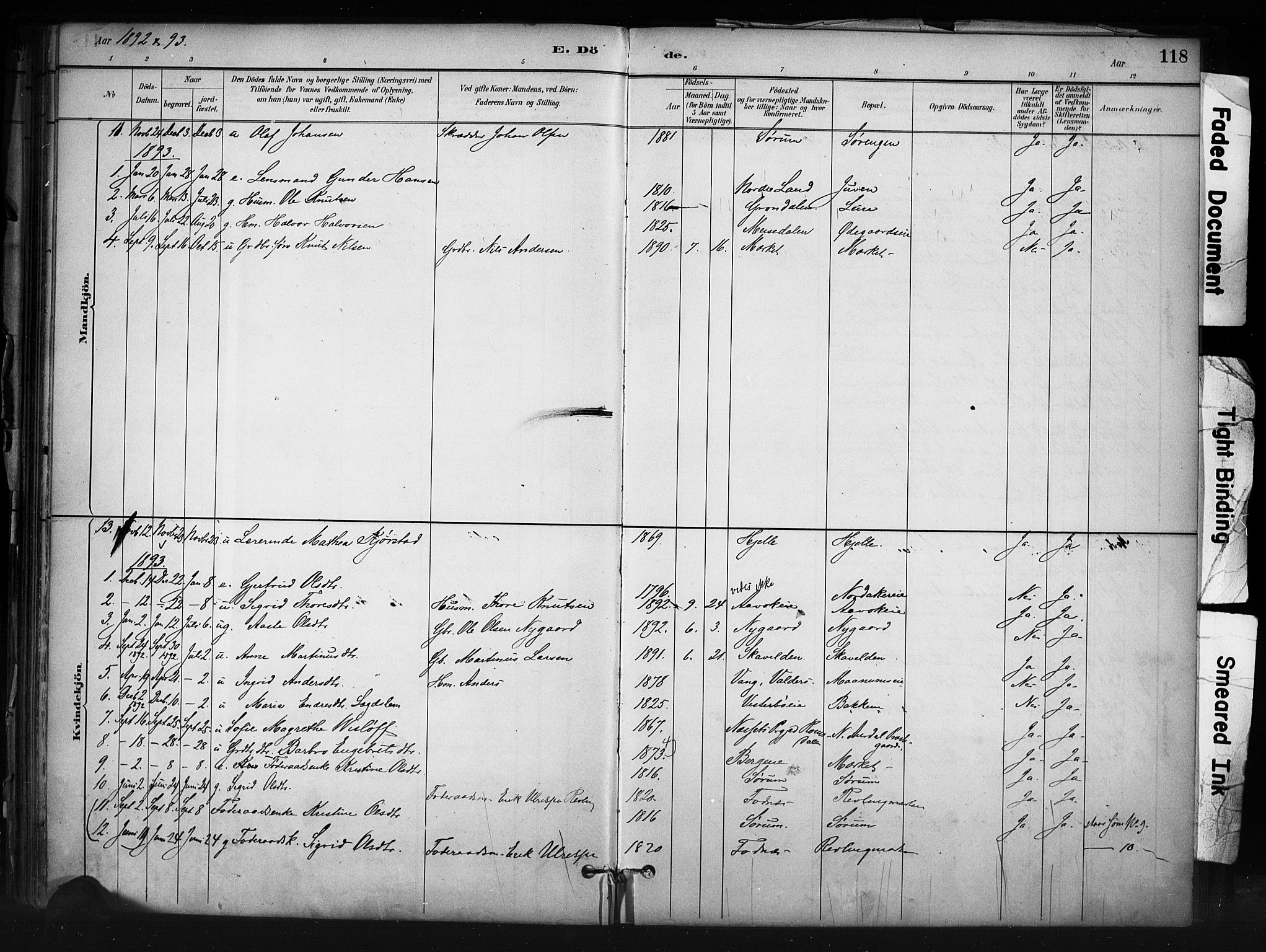 Nord-Aurdal prestekontor, SAH/PREST-132/H/Ha/Haa/L0013: Parish register (official) no. 13, 1883-1895, p. 118