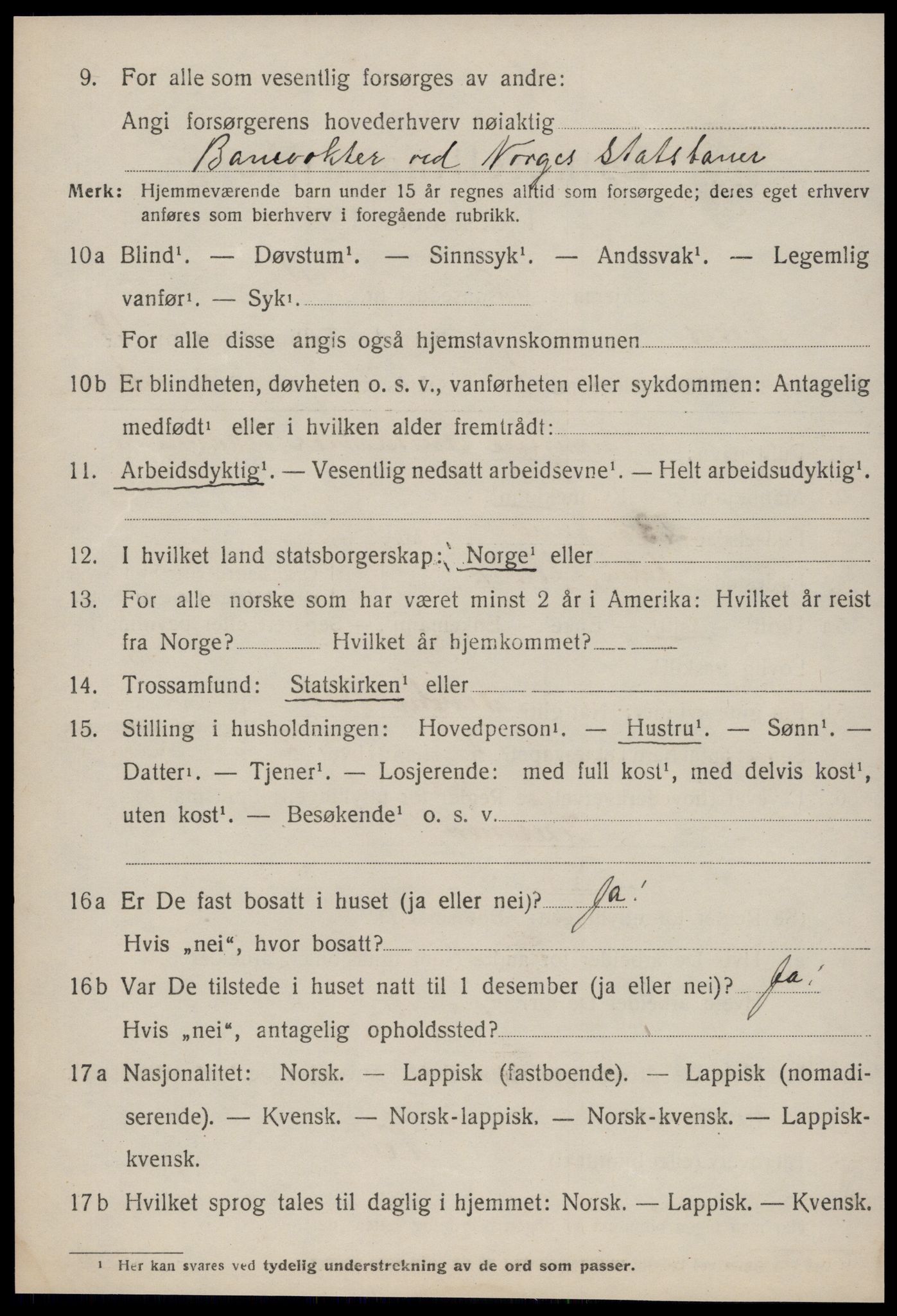 SAT, 1920 census for Røros, 1920, p. 12251