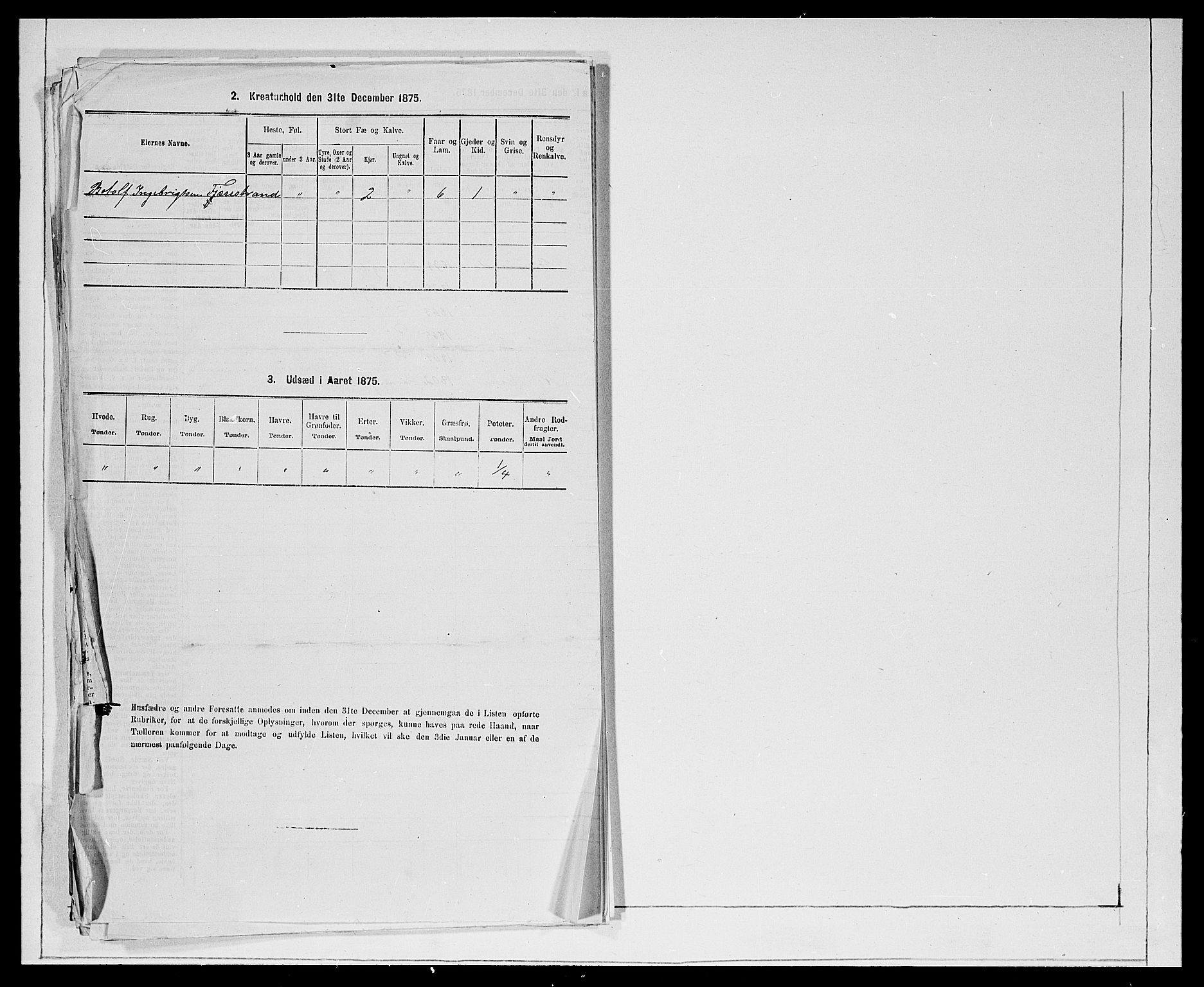 SAB, 1875 Census for 1441P Selje, 1875, p. 373