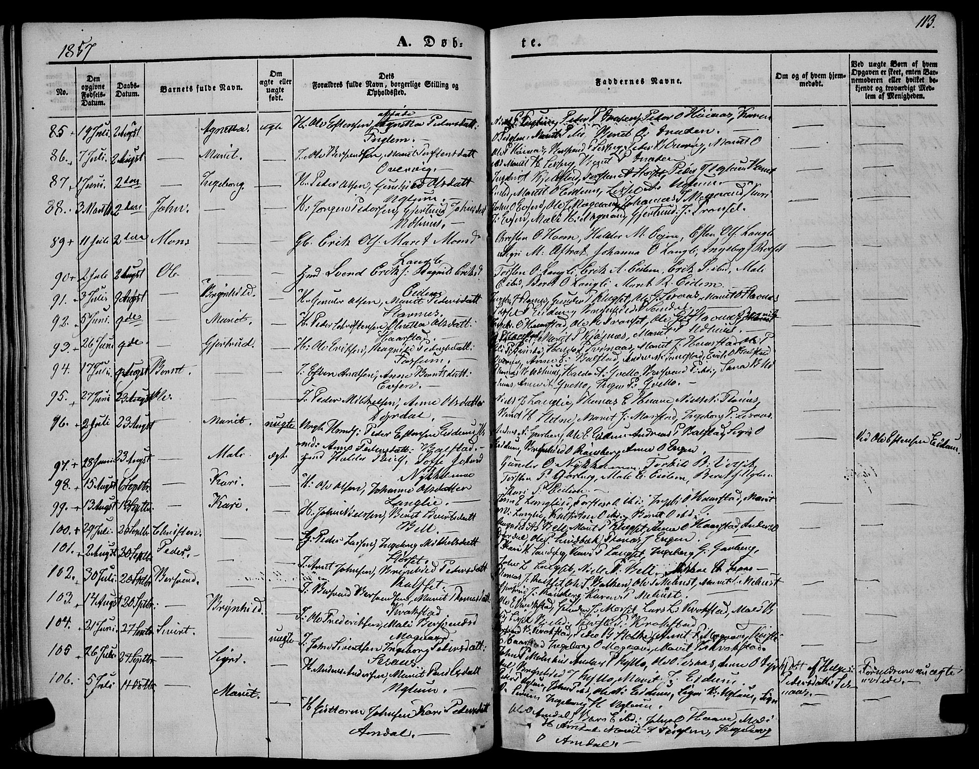 Ministerialprotokoller, klokkerbøker og fødselsregistre - Sør-Trøndelag, AV/SAT-A-1456/695/L1145: Parish register (official) no. 695A06 /1, 1843-1859, p. 113