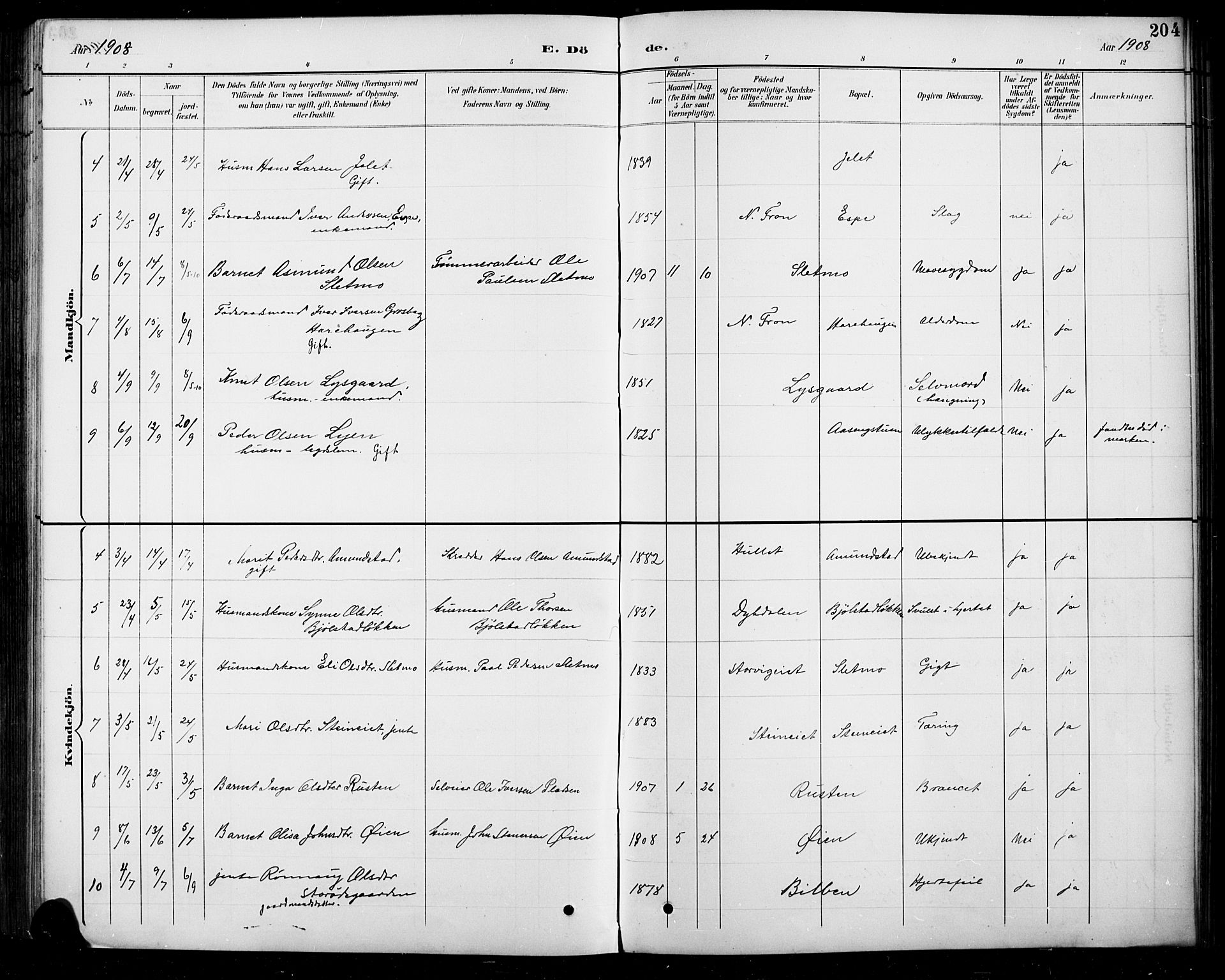 Sel prestekontor, SAH/PREST-074/H/Ha/Hab/L0005: Parish register (copy) no. 5, 1894-1923, p. 204