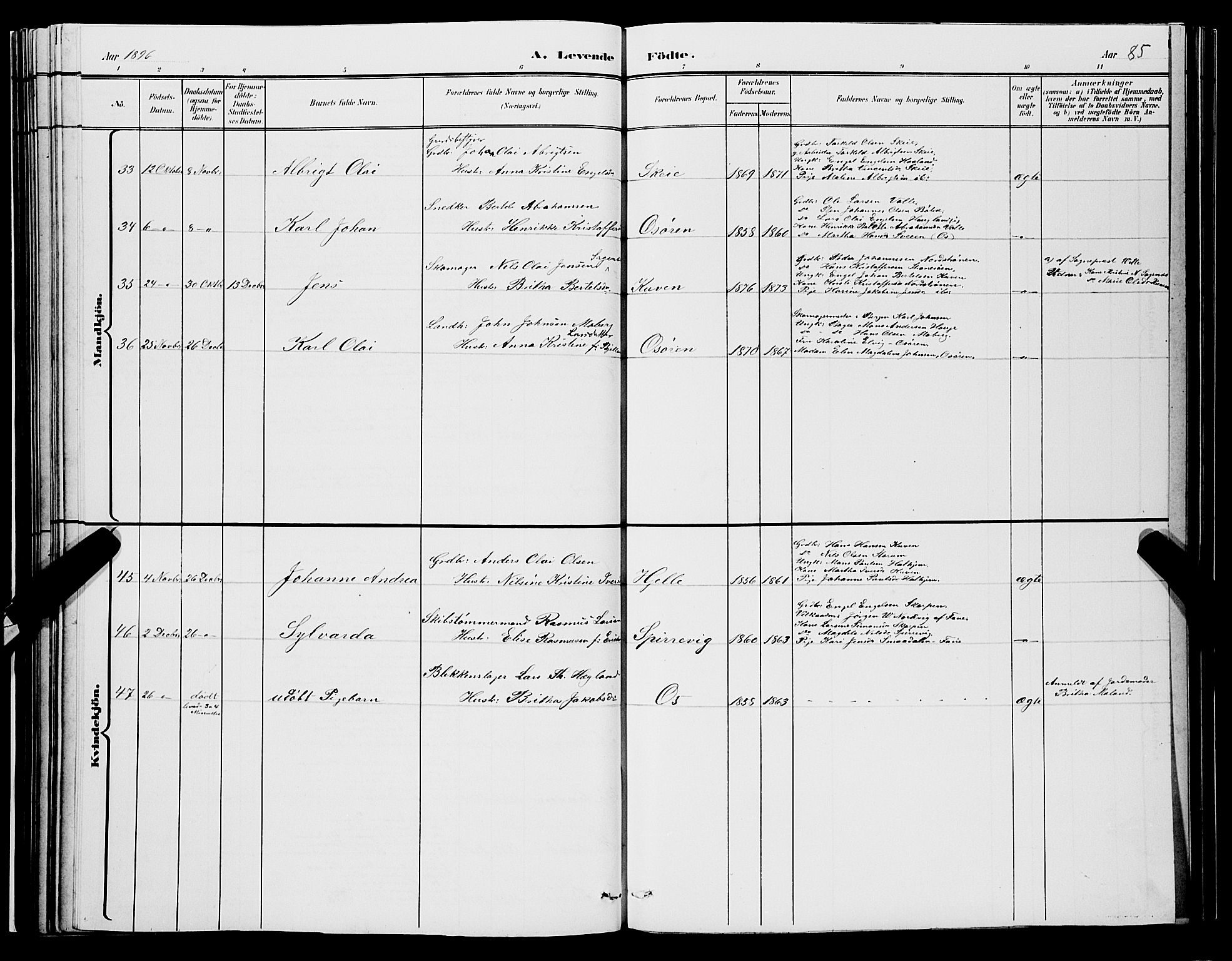 Os sokneprestembete, AV/SAB-A-99929: Parish register (copy) no. A 2, 1880-1896, p. 85