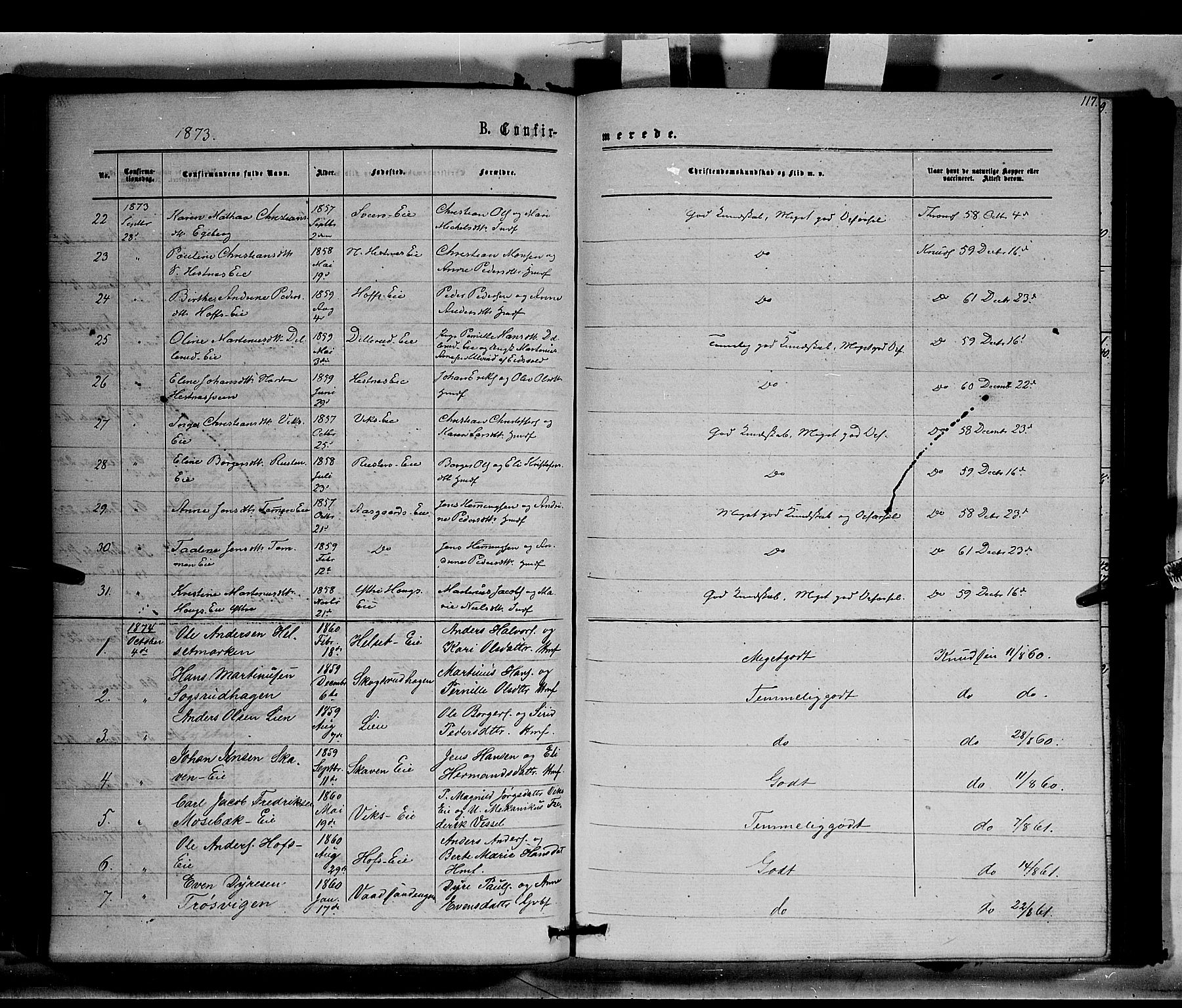 Stange prestekontor, SAH/PREST-002/K/L0014: Parish register (official) no. 14, 1862-1879, p. 117