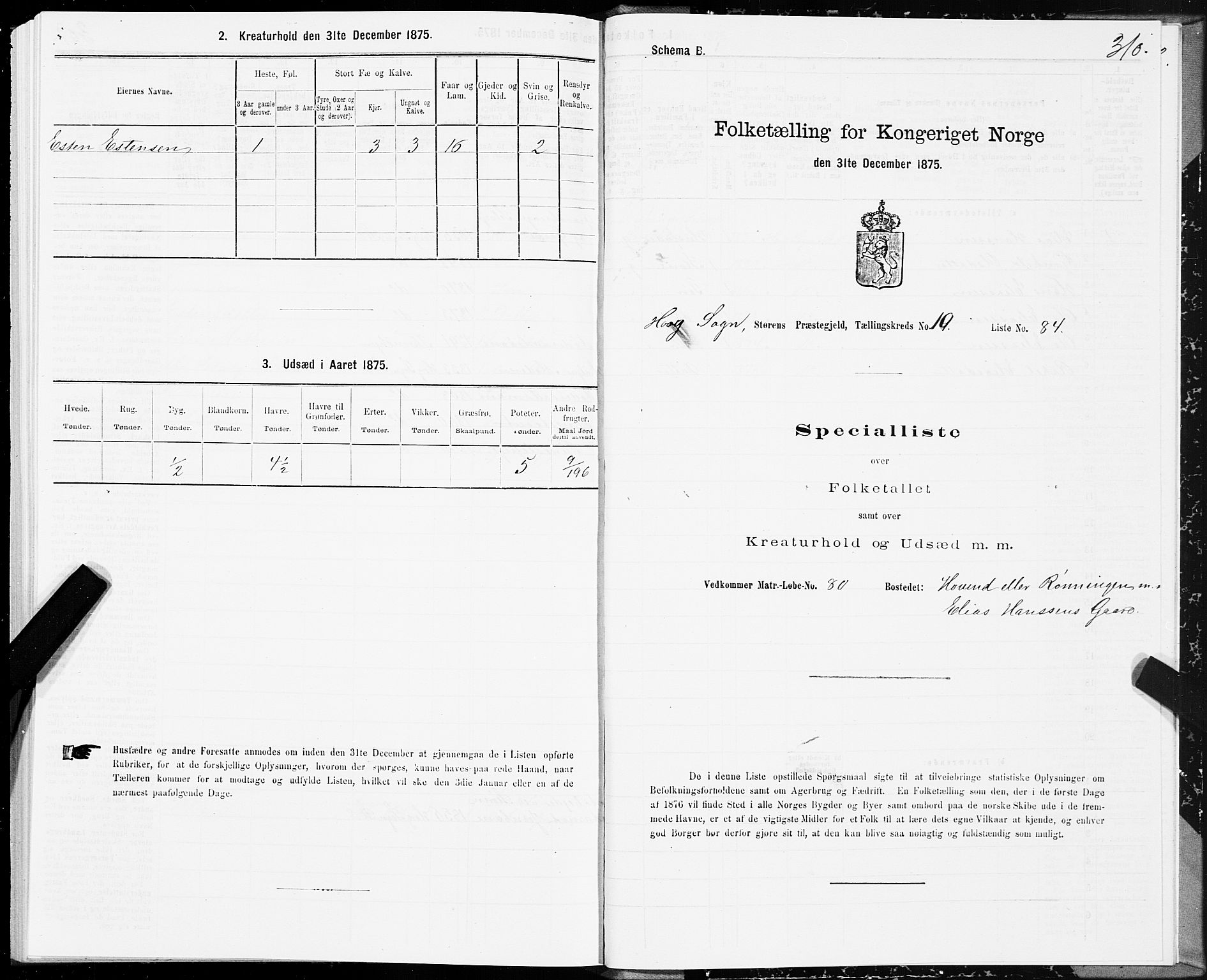 SAT, 1875 census for 1648P Støren, 1875, p. 5310