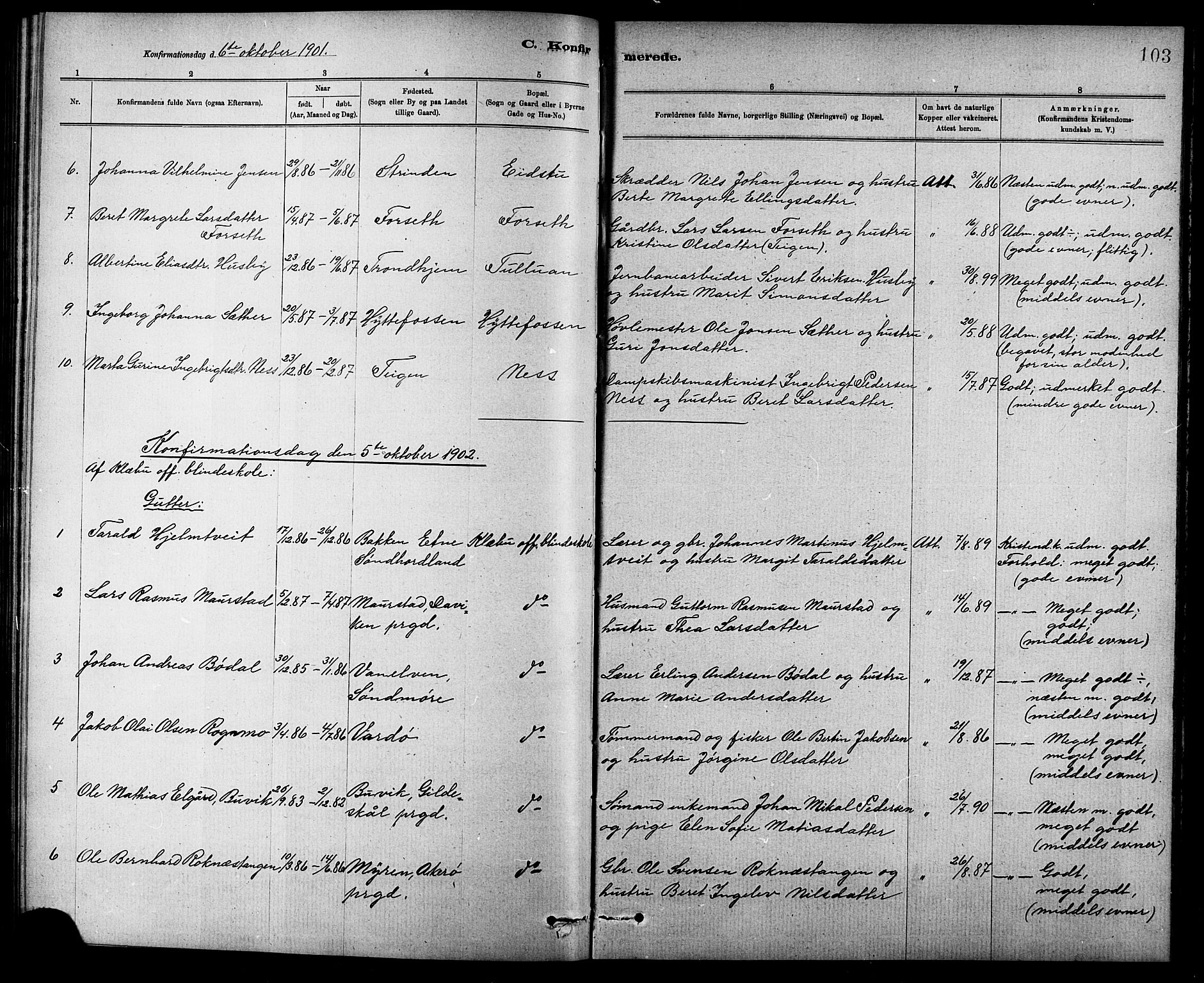 Ministerialprotokoller, klokkerbøker og fødselsregistre - Sør-Trøndelag, SAT/A-1456/618/L0452: Parish register (copy) no. 618C03, 1884-1906, p. 103