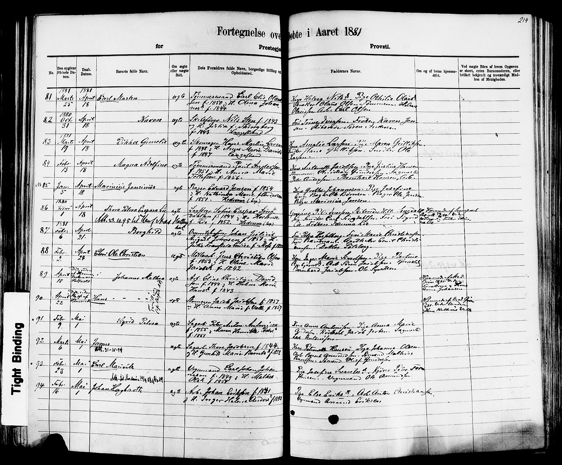 Larvik kirkebøker, SAKO/A-352/F/Fa/L0006: Parish register (official) no. I 6, 1871-1883, p. 214