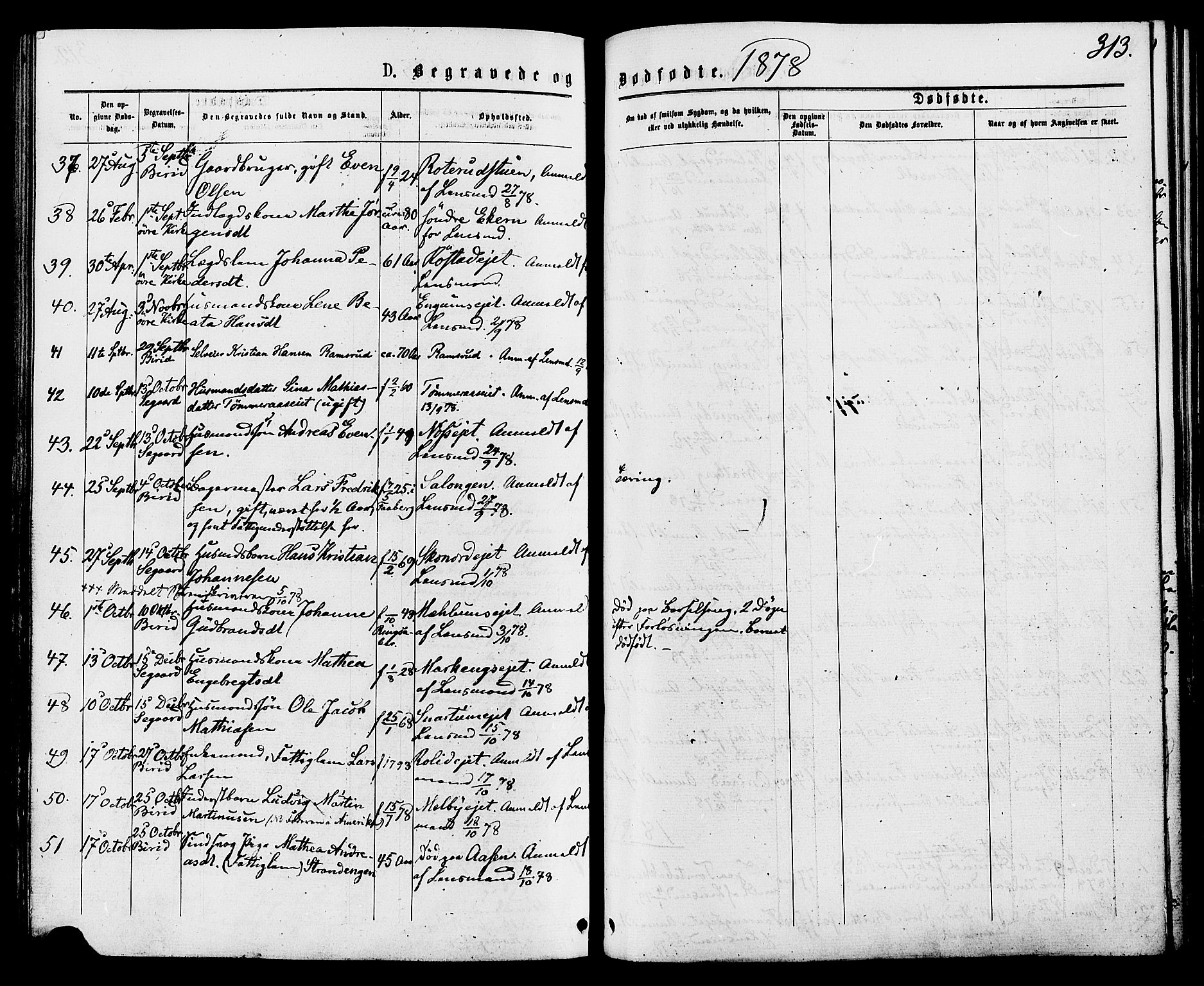 Biri prestekontor, SAH/PREST-096/H/Ha/Haa/L0006: Parish register (official) no. 6, 1877-1886, p. 313