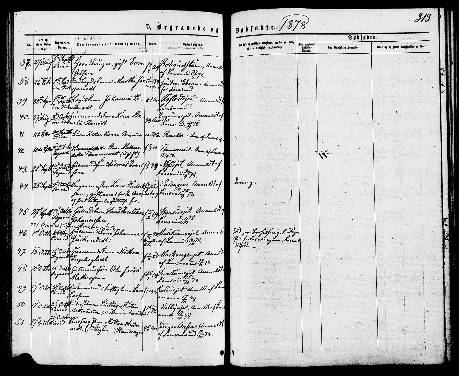 Biri prestekontor, AV/SAH-PREST-096/H/Ha/Haa/L0006: Parish register (official) no. 6, 1877-1886, p. 313