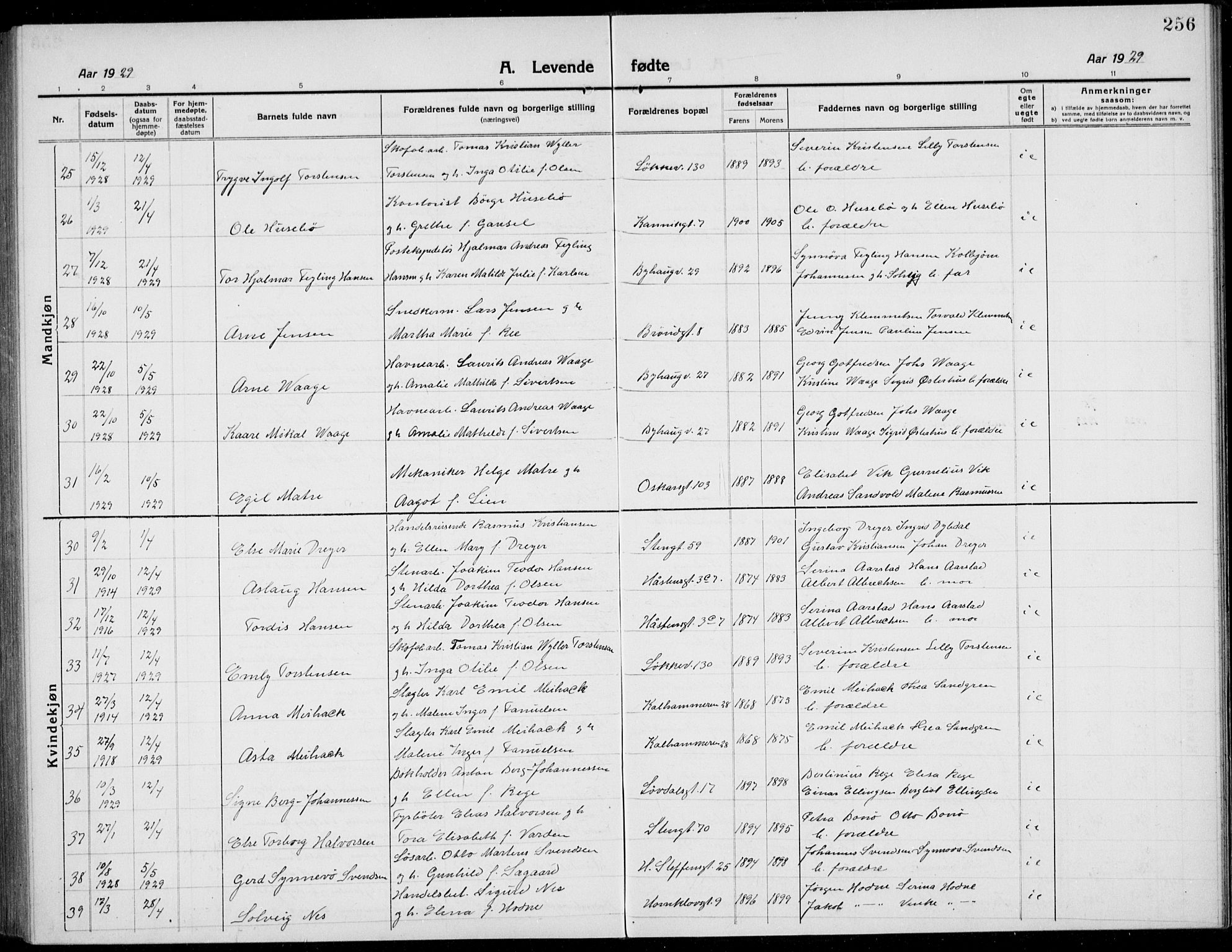 Domkirken sokneprestkontor, AV/SAST-A-101812/001/30/30BB/L0019: Parish register (copy) no. B 19, 1915-1932, p. 256