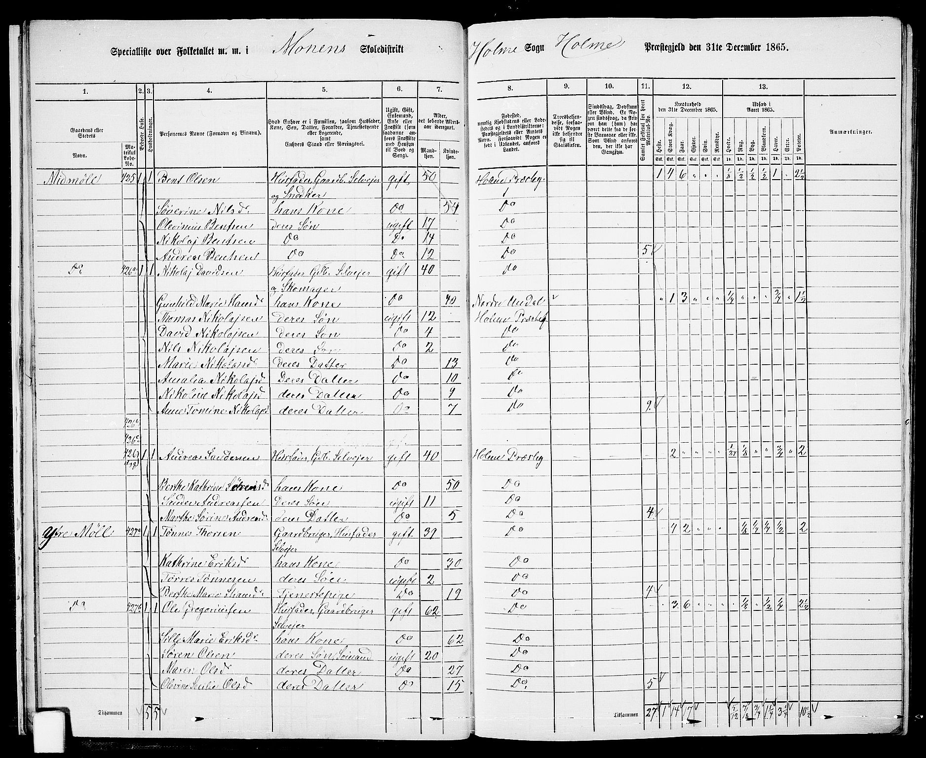 RA, 1865 census for Holum, 1865, p. 20