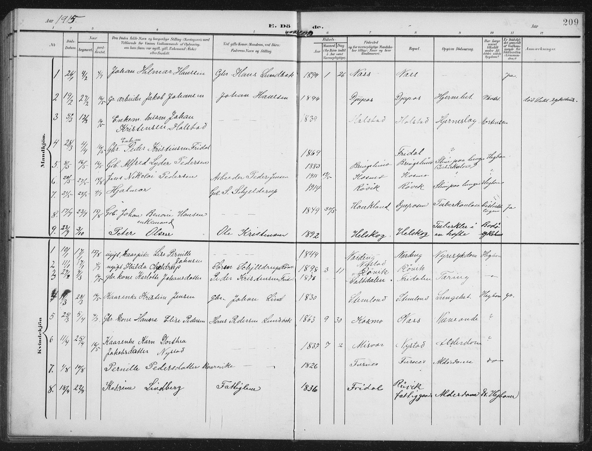 Ministerialprotokoller, klokkerbøker og fødselsregistre - Nordland, AV/SAT-A-1459/851/L0726: Parish register (copy) no. 851C01, 1902-1924, p. 209