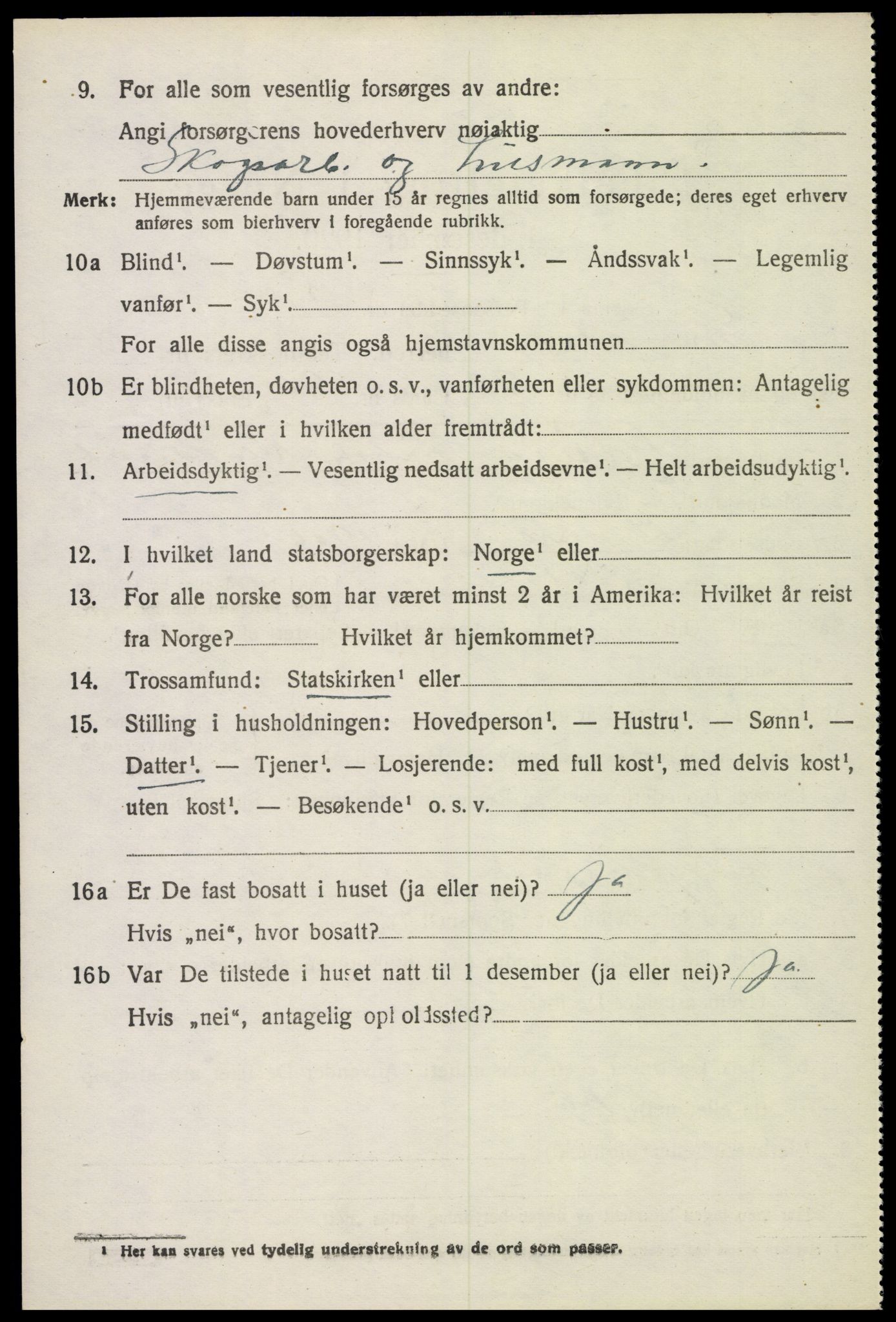 SAH, 1920 census for Sør-Odal, 1920, p. 16276