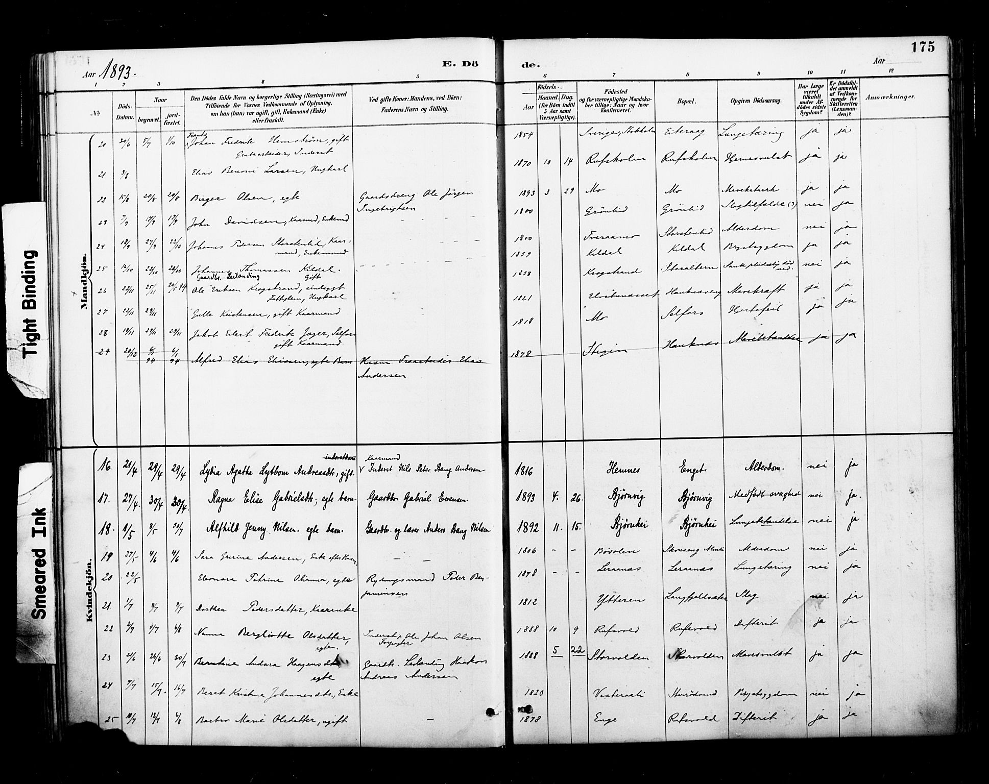 Ministerialprotokoller, klokkerbøker og fødselsregistre - Nordland, AV/SAT-A-1459/827/L0401: Parish register (official) no. 827A13, 1887-1905, p. 175