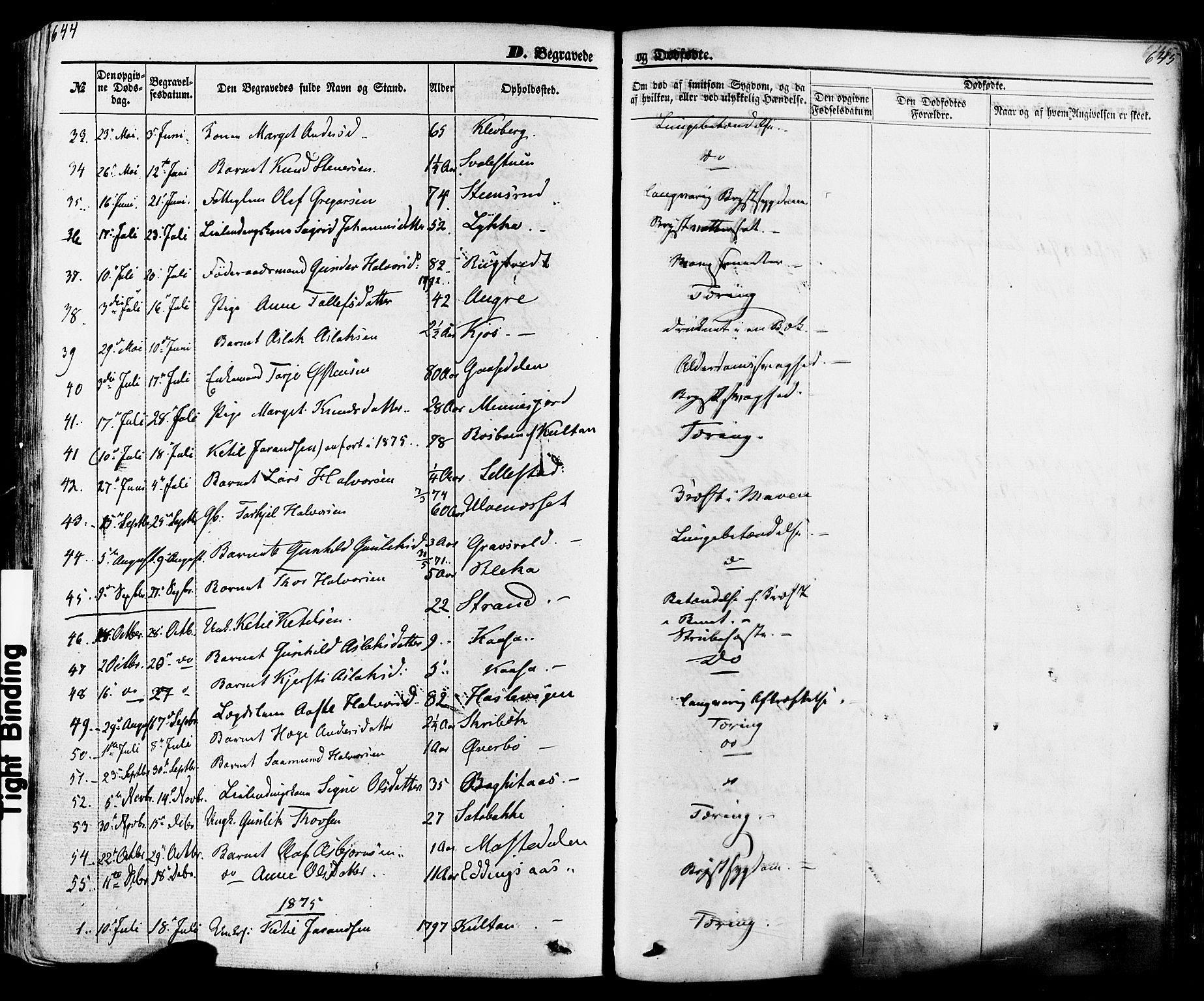 Seljord kirkebøker, SAKO/A-20/F/Fa/L0013: Parish register (official) no. I 13, 1866-1876, p. 644-645